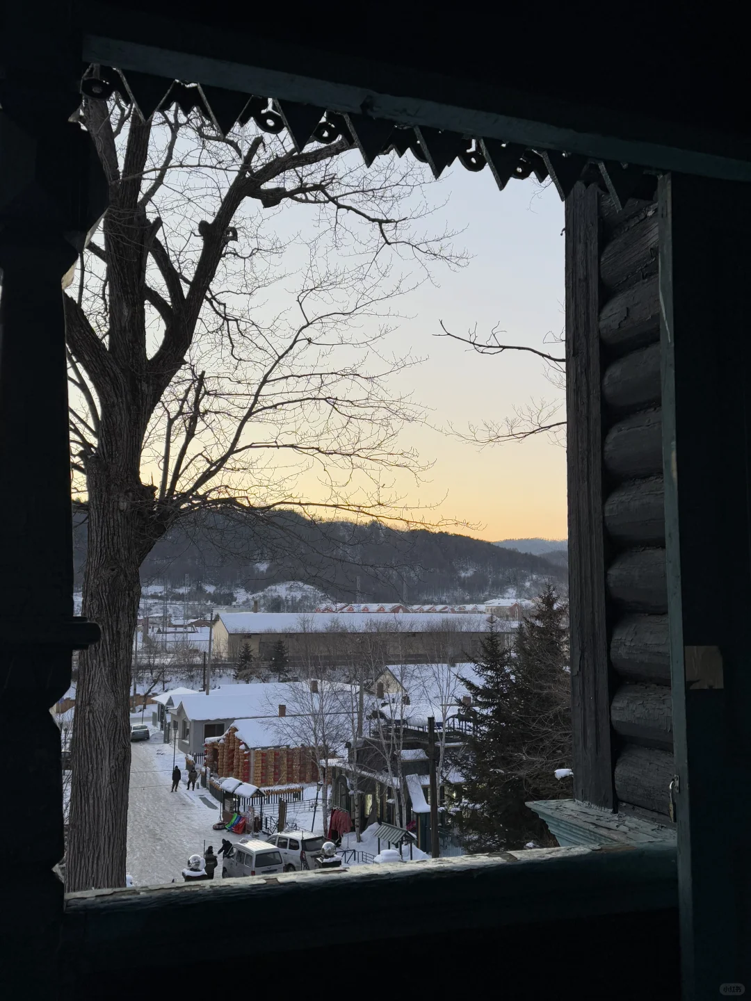 谁懂❗️在这些窗前我真的坐了一下午❗️