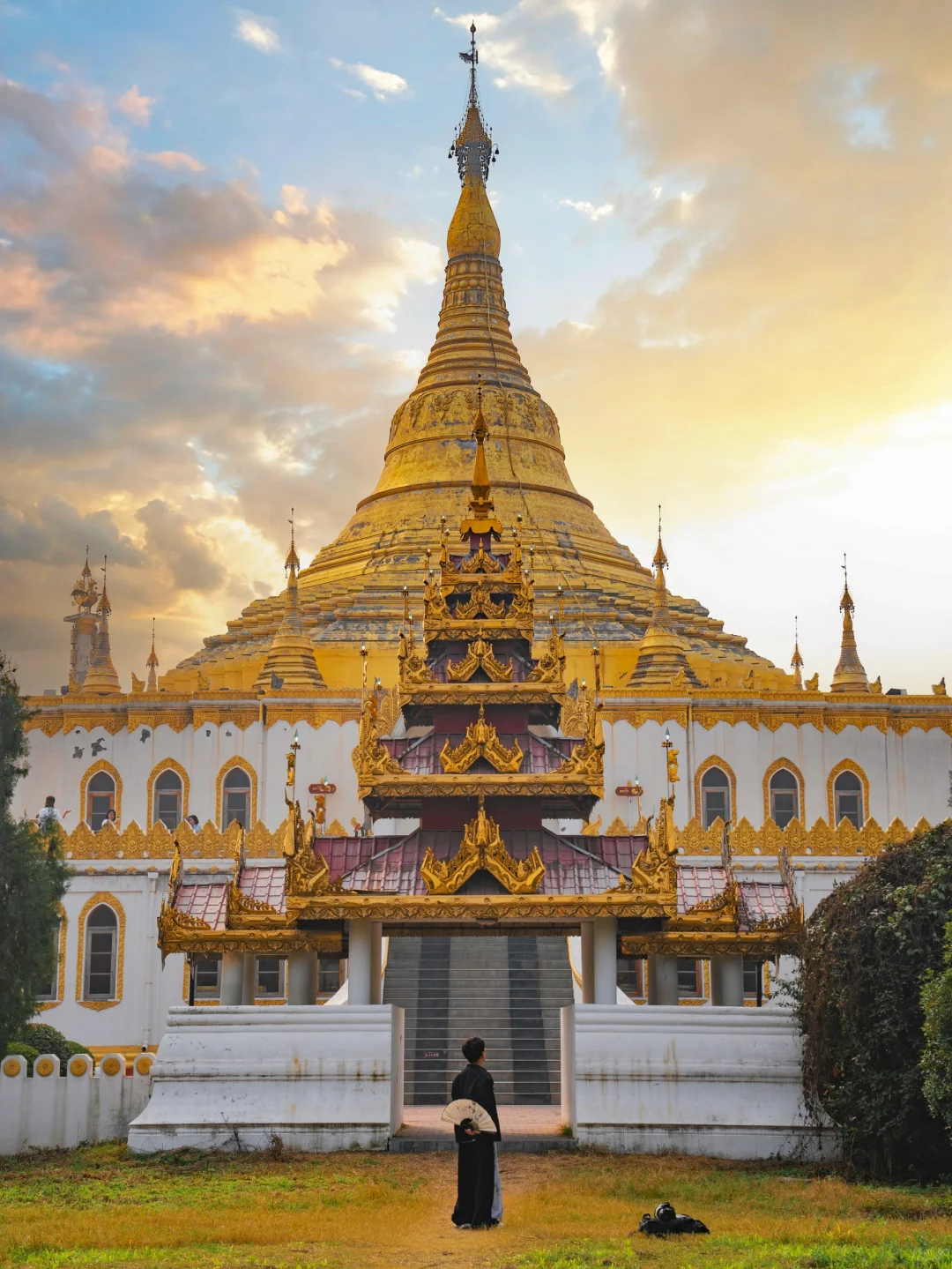 为了这1⃣️3⃣️张图特意飞了趟洛阳