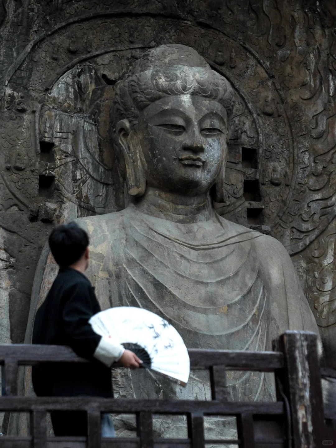 为了这1⃣️3⃣️张图特意飞了趟洛阳