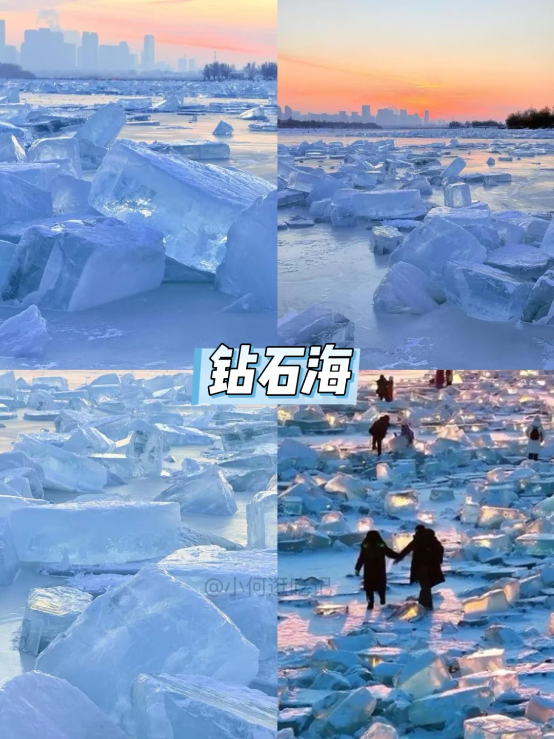 1月来哈尔滨，6️⃣个免费打卡点不能错过！