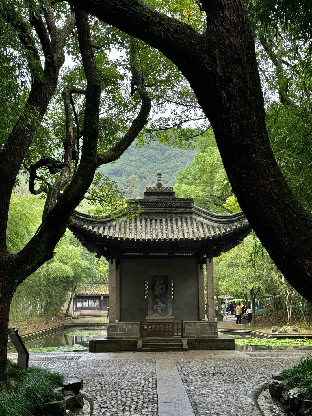 淡季来绍兴，真的赢麻了❗️