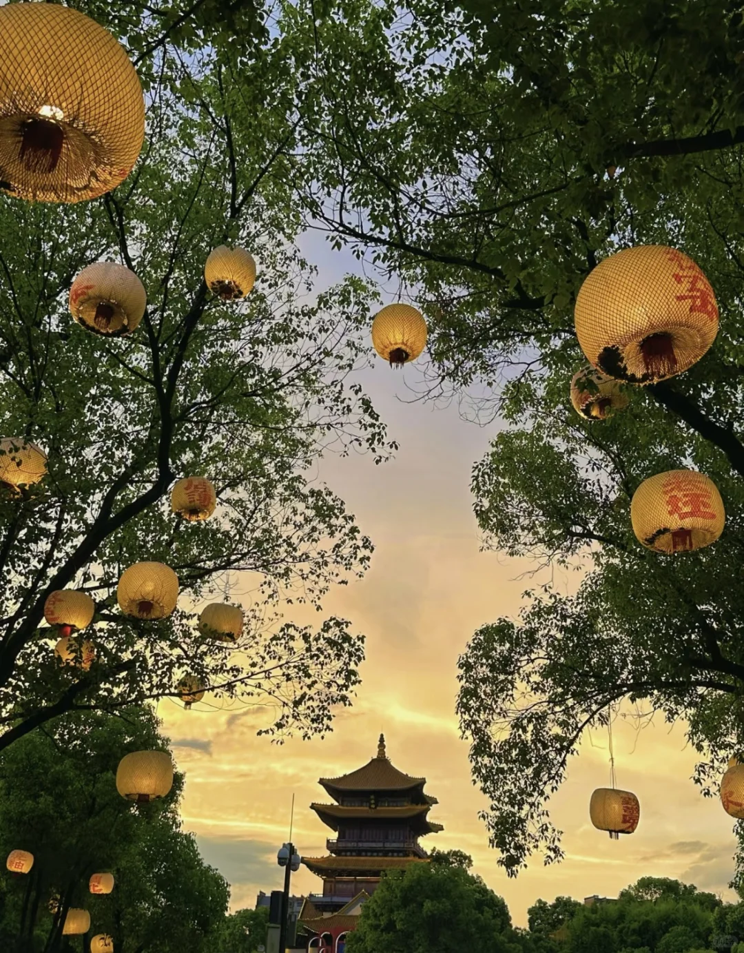 码住❗️给1-3月要来景德镇玩的朋友