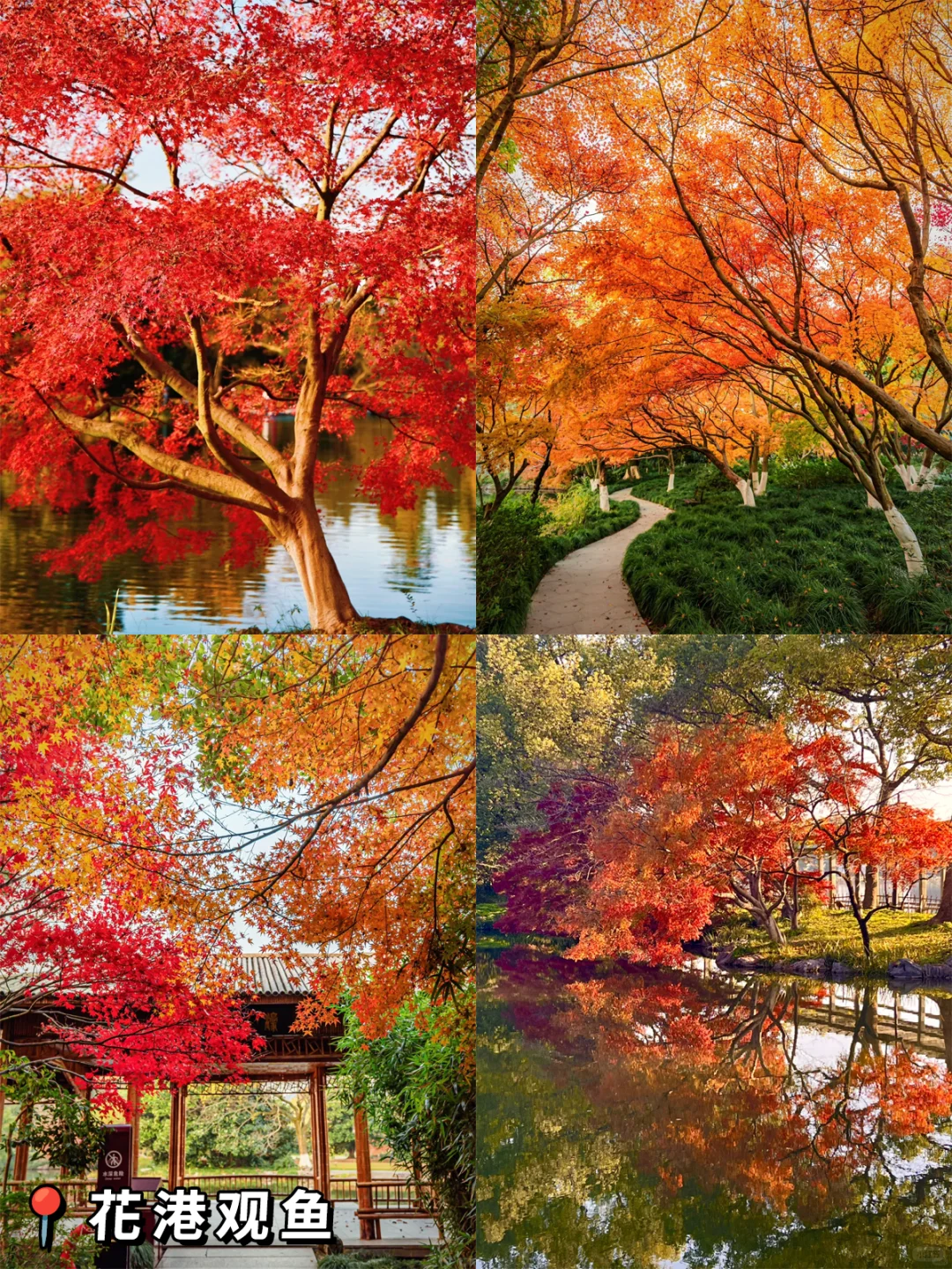 杭州三日游🔥拿下15个景点！不走回头路