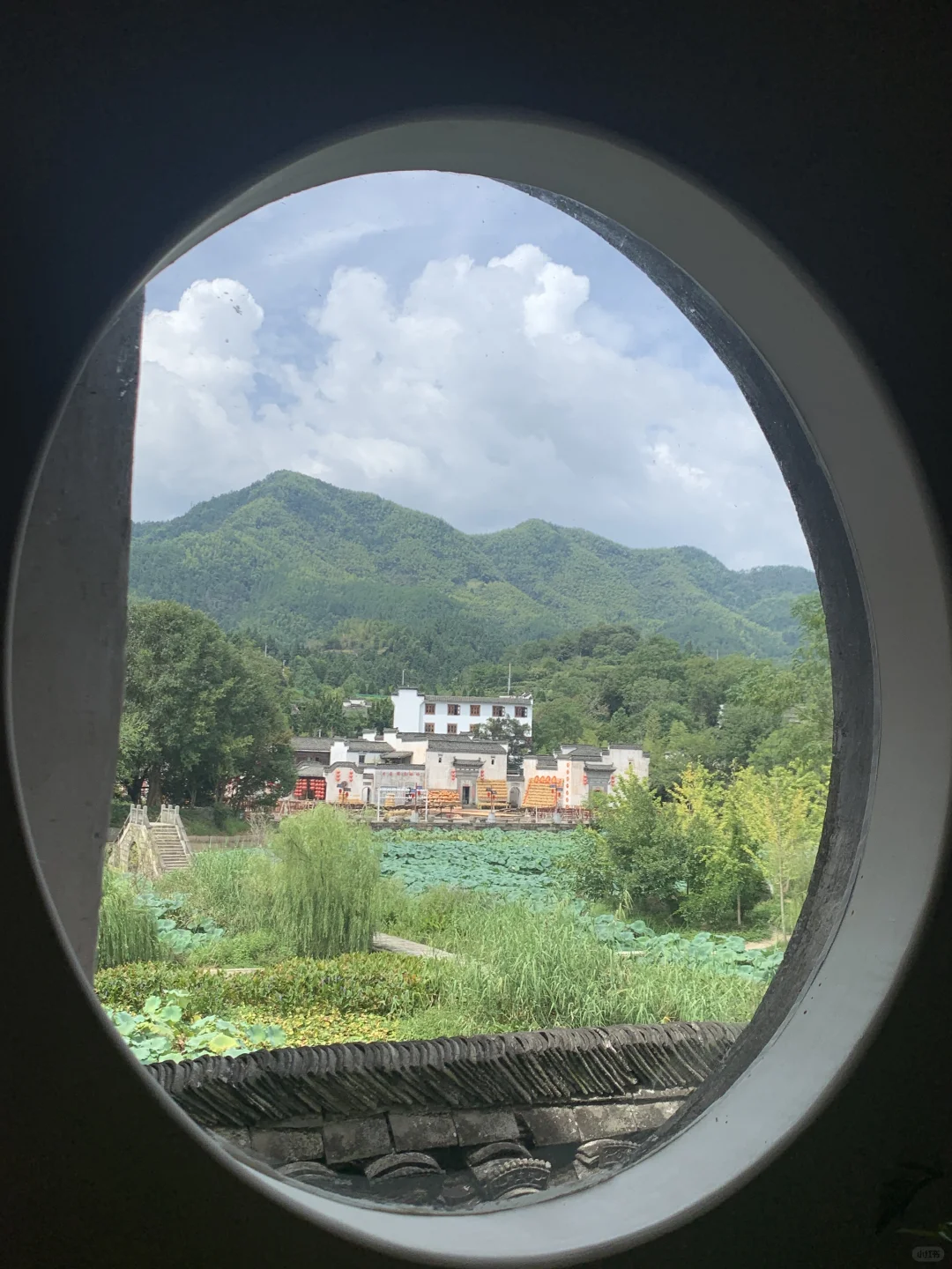 谁懂❗️在这些窗前我真的坐了一下午❗️