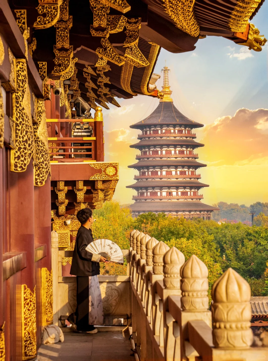 为了这1⃣️3⃣️张图特意飞了趟洛阳