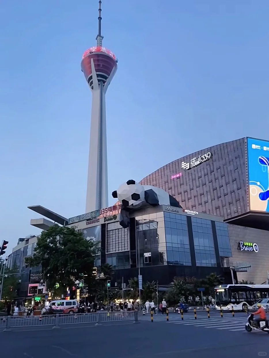 成都｜本地人带路旅游攻略🐎住！