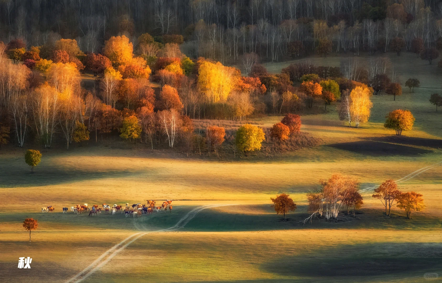 看了再见爱人4 想立刻飞去内蒙古 攻略有✅