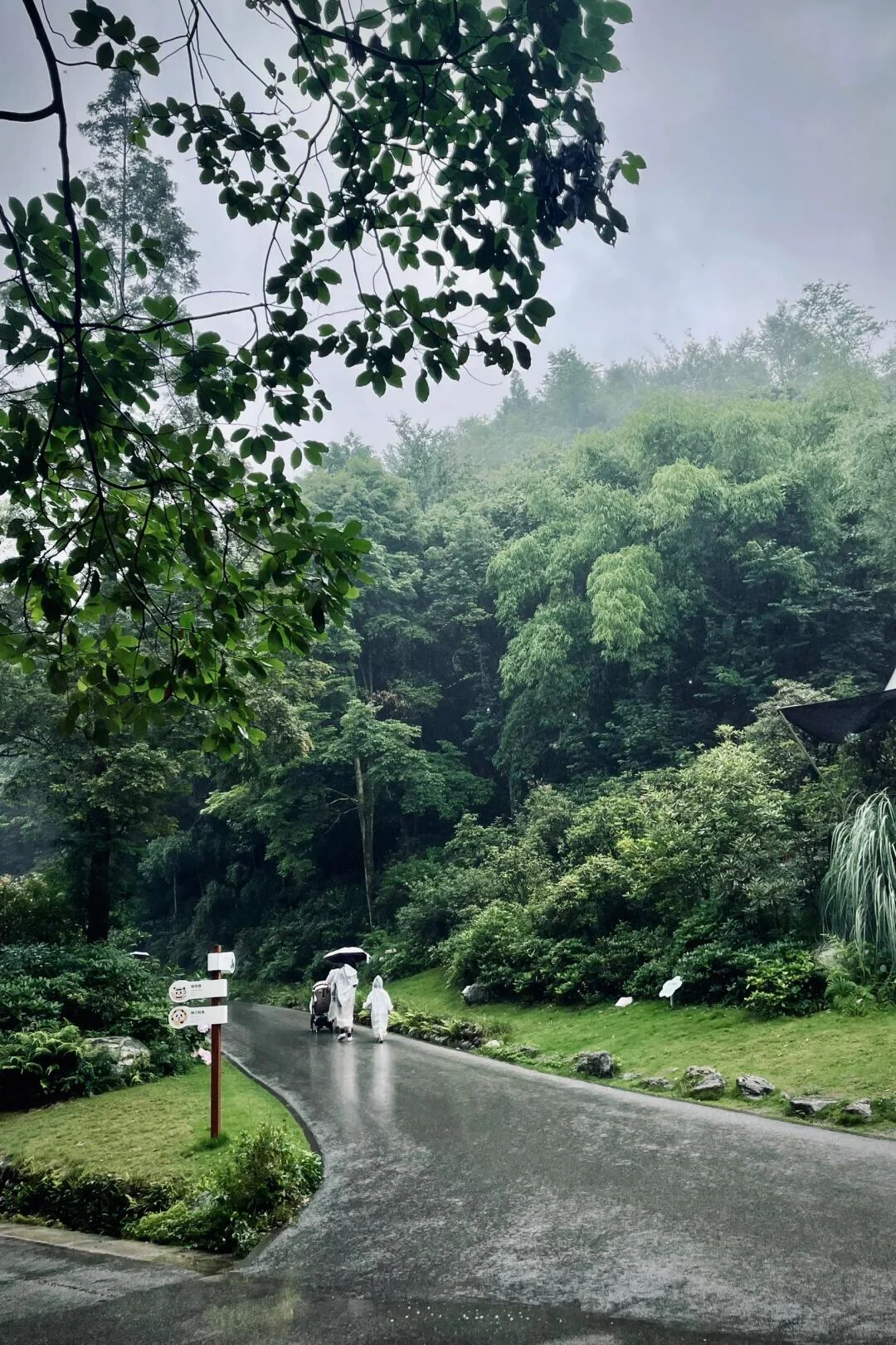 成都本地导游手绘的5日旅游路线，来的姐妹码