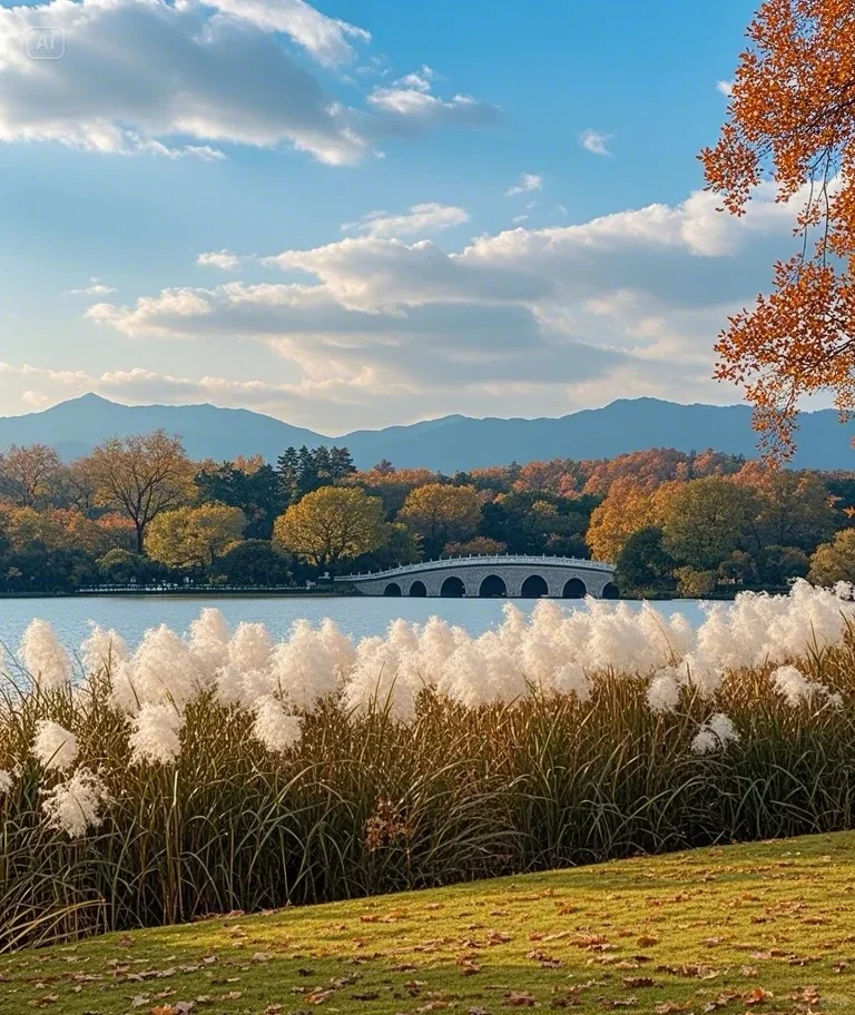 醉美西湖，一场诗意的邂逅之旅