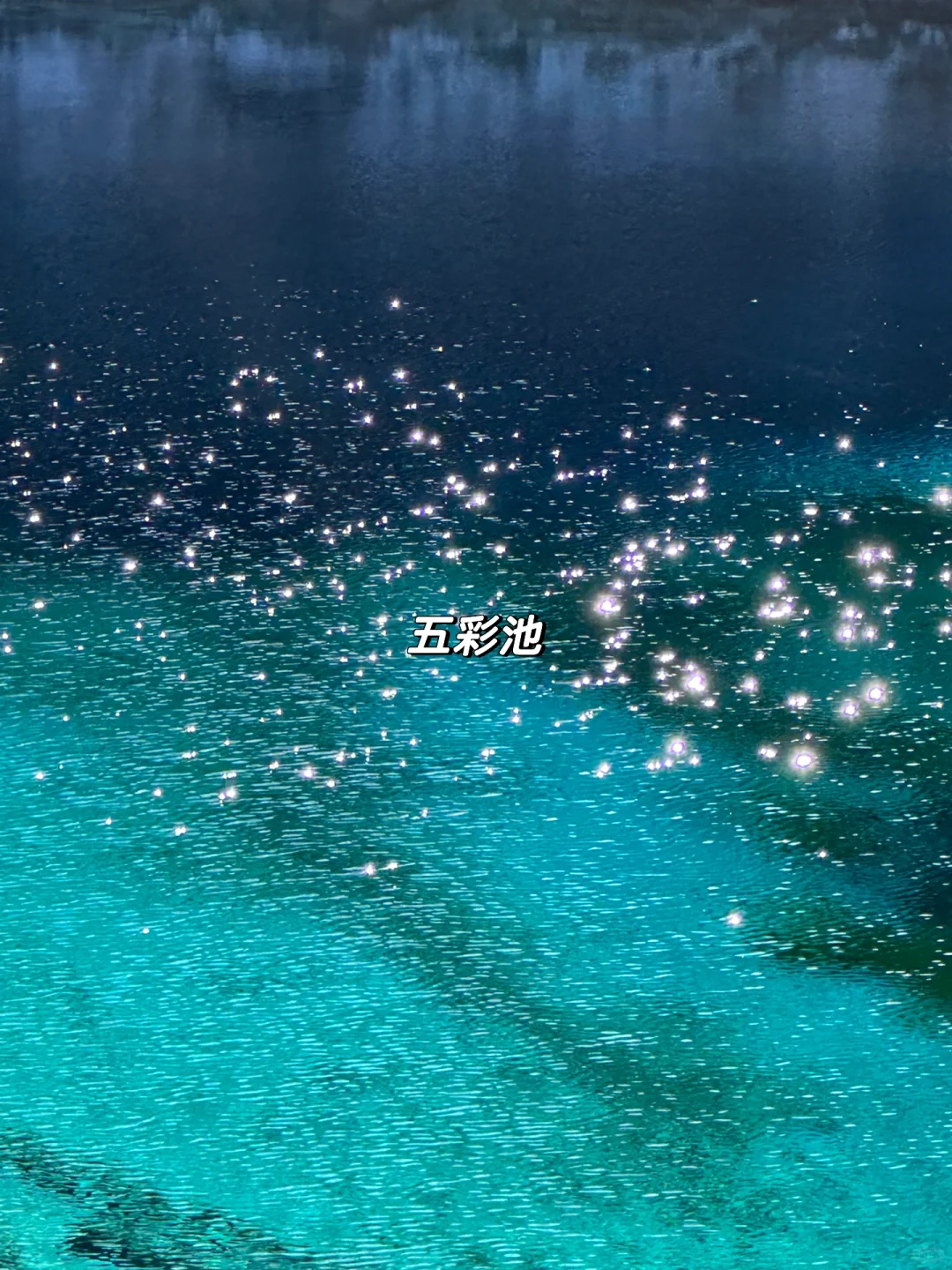 1月现状📍谁说这是淡季😱春节要来的宝听劝！