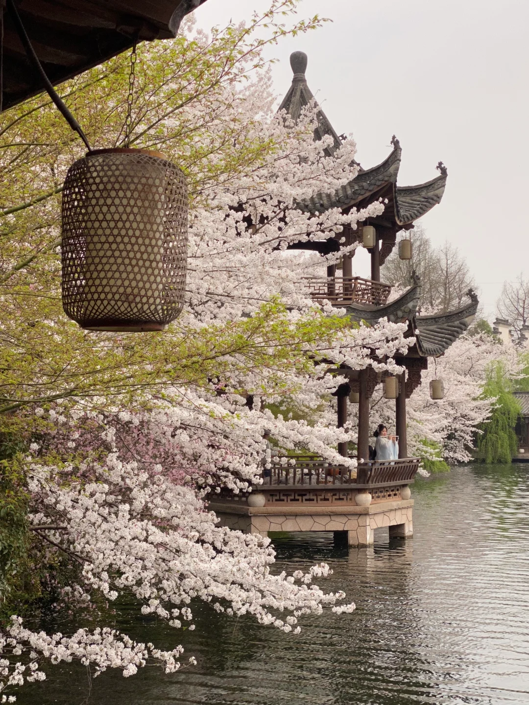 这是我买iPhone的意义🌸春夏秋冬Live~