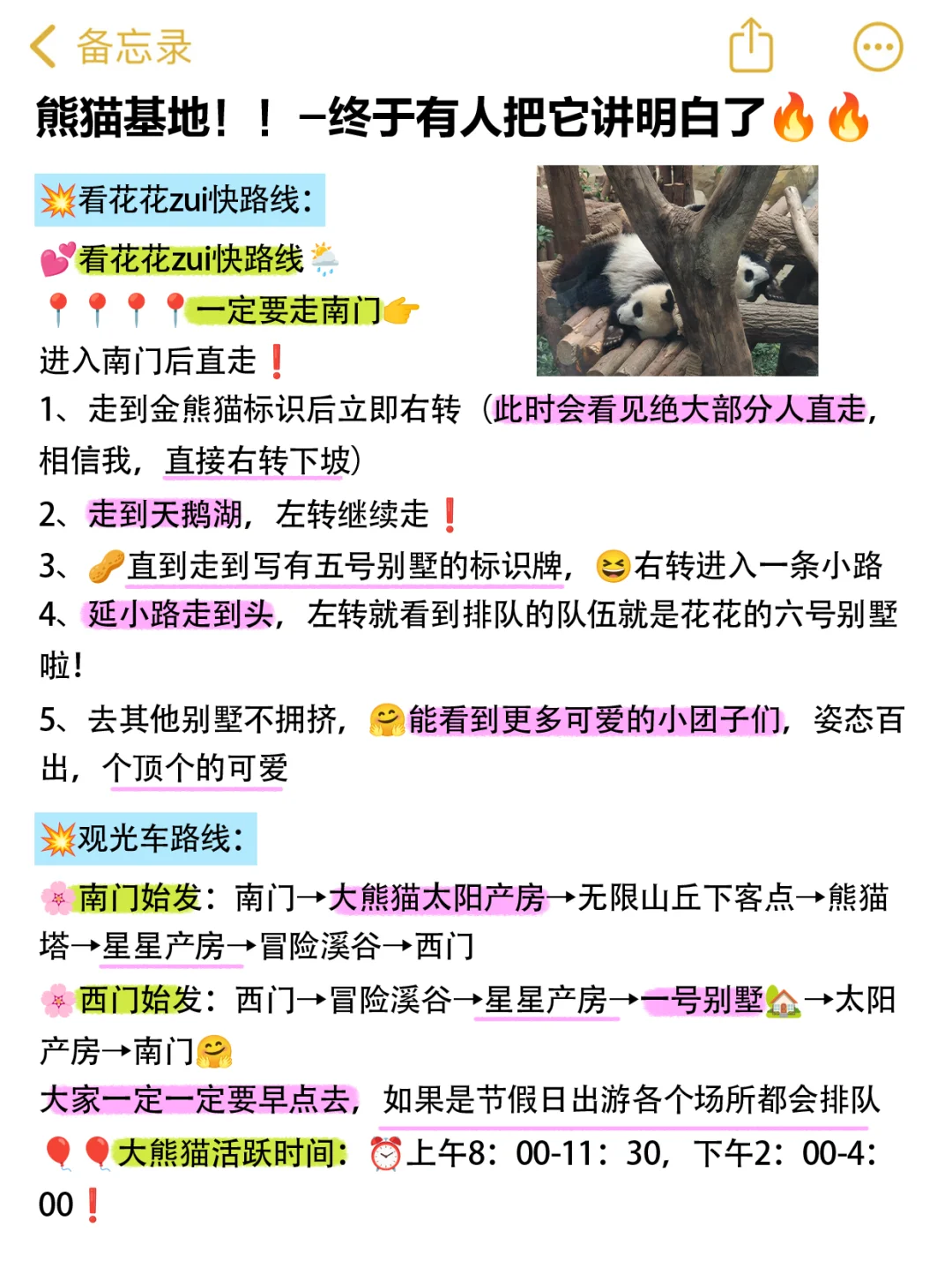 🐼成都｜熊猫基地+三星堆一日旅游攻略