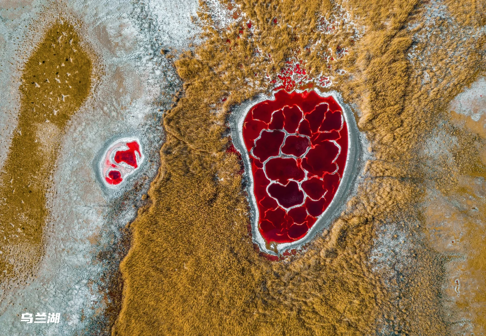 看了再见爱人4 想立刻飞去内蒙古 攻略有✅