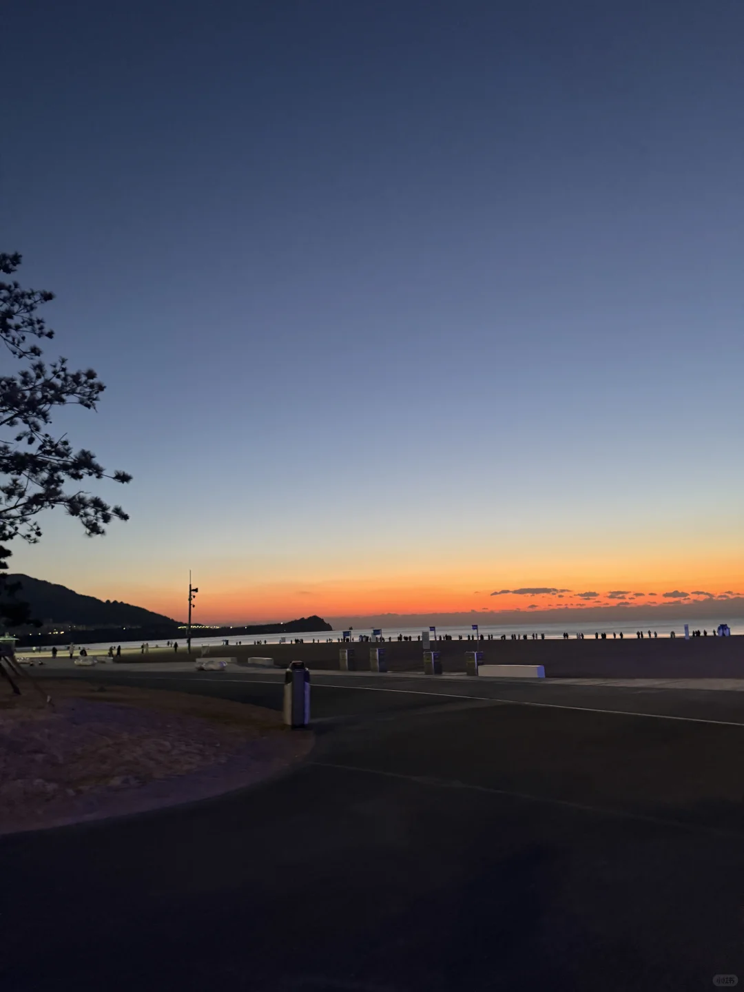 超绝P人青岛4天3晚旅游攻略(1.15)