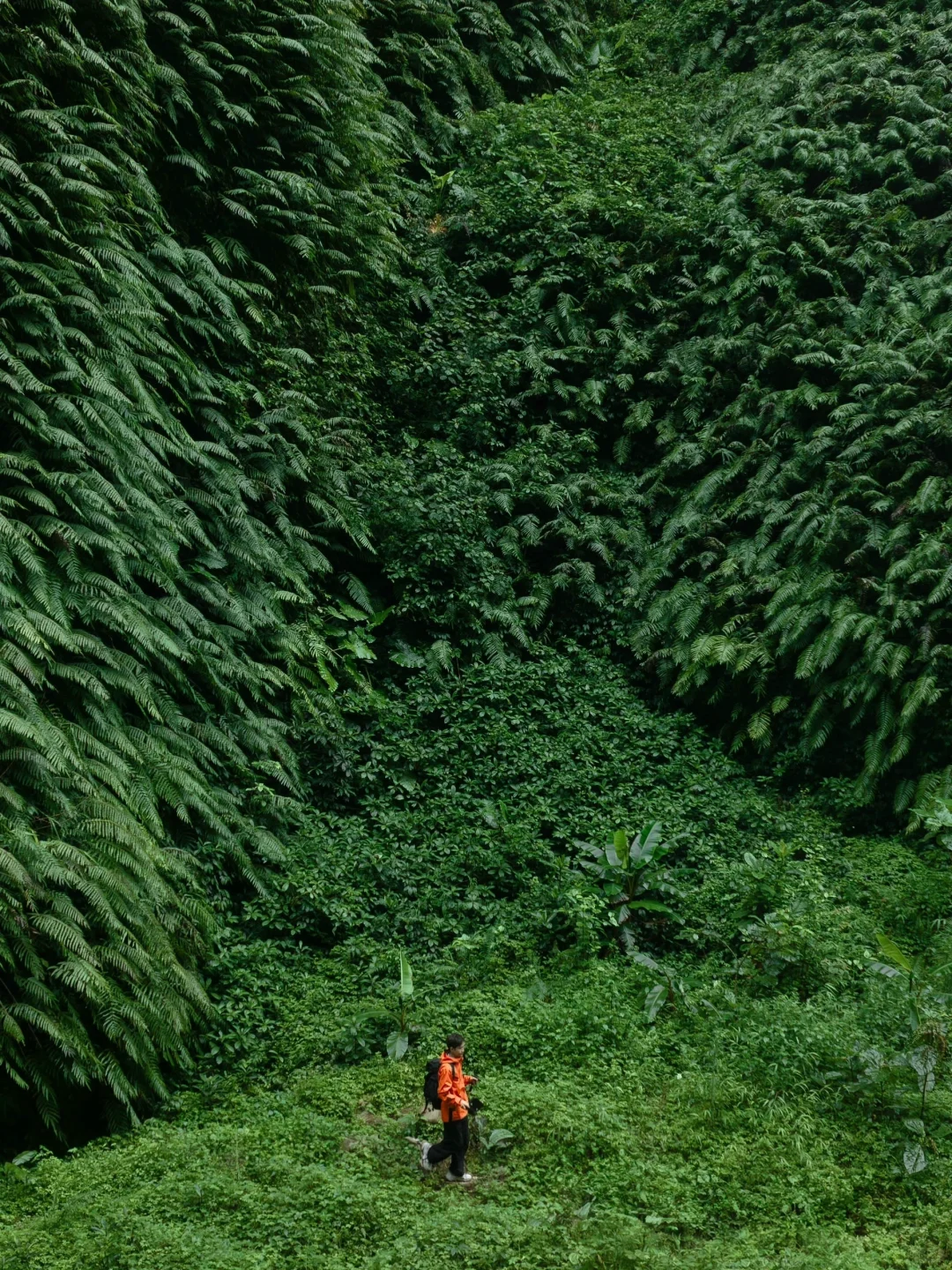 世界慢慢游｜以为桂林很美了❗️直到我去了……