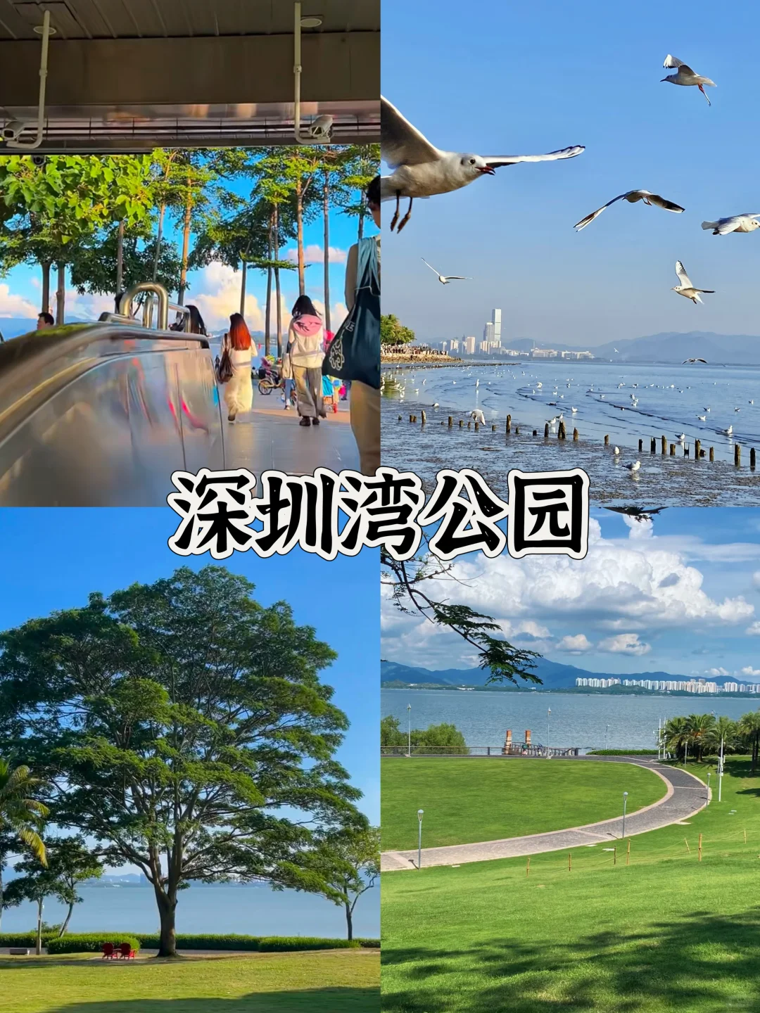 深圳地铁直达看海🌊2天1夜游玩攻略