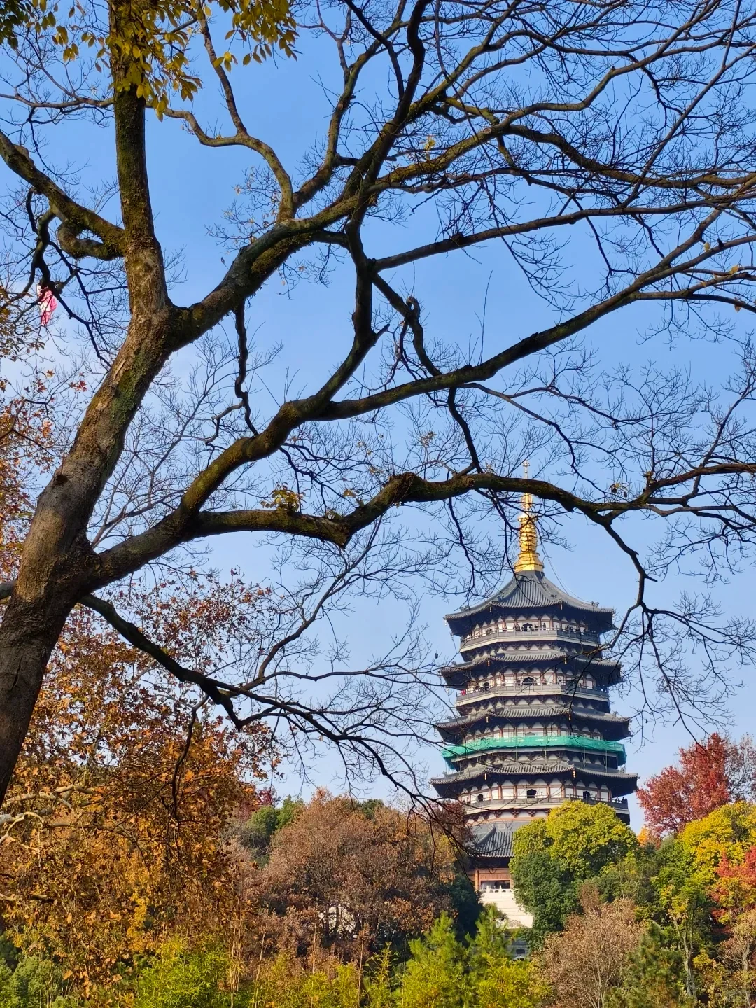 醉美西湖，一场诗意的邂逅之旅