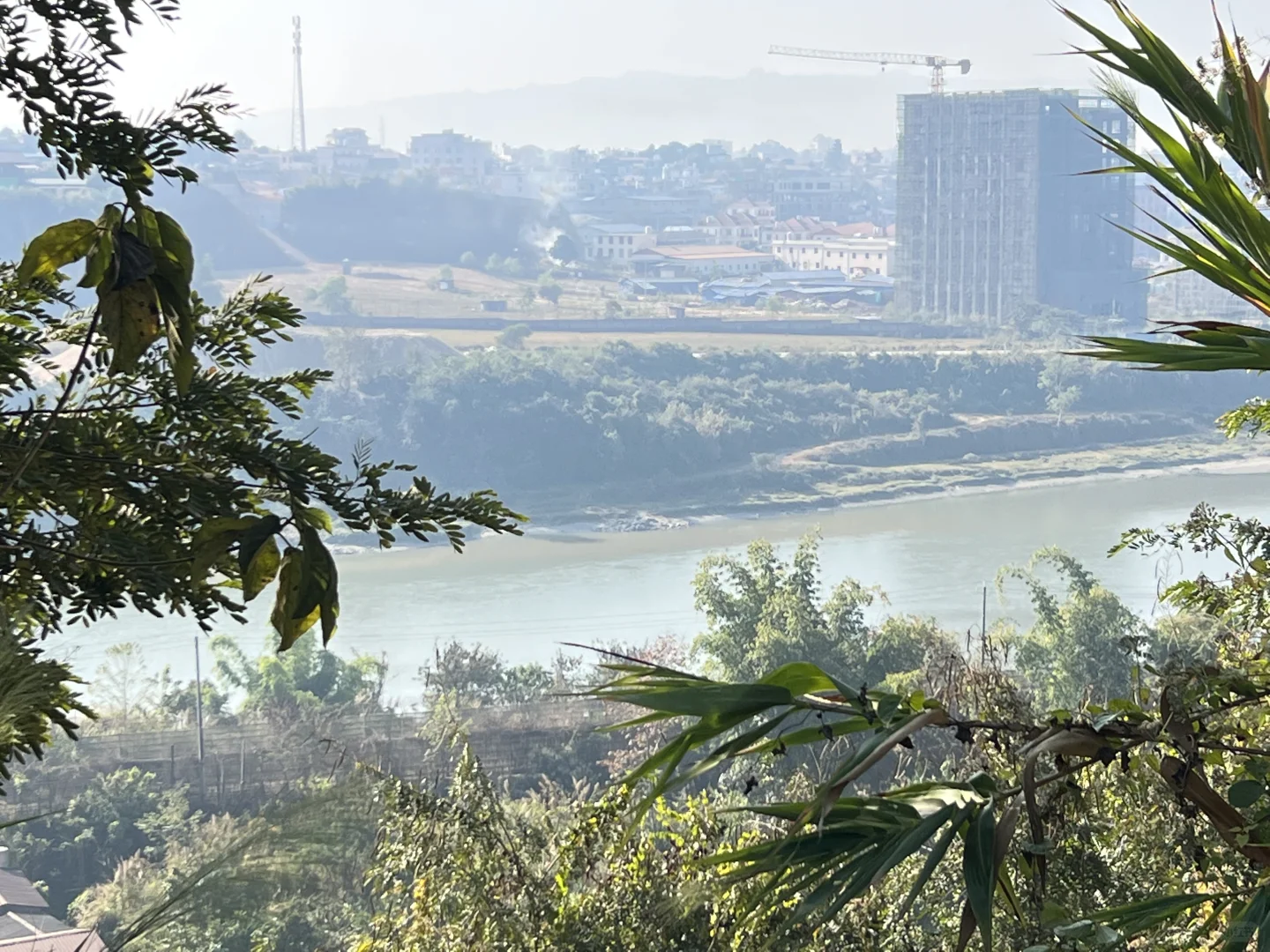 云南·瑞丽·傣王宫总佛寺·姐勒金塔·榕树王