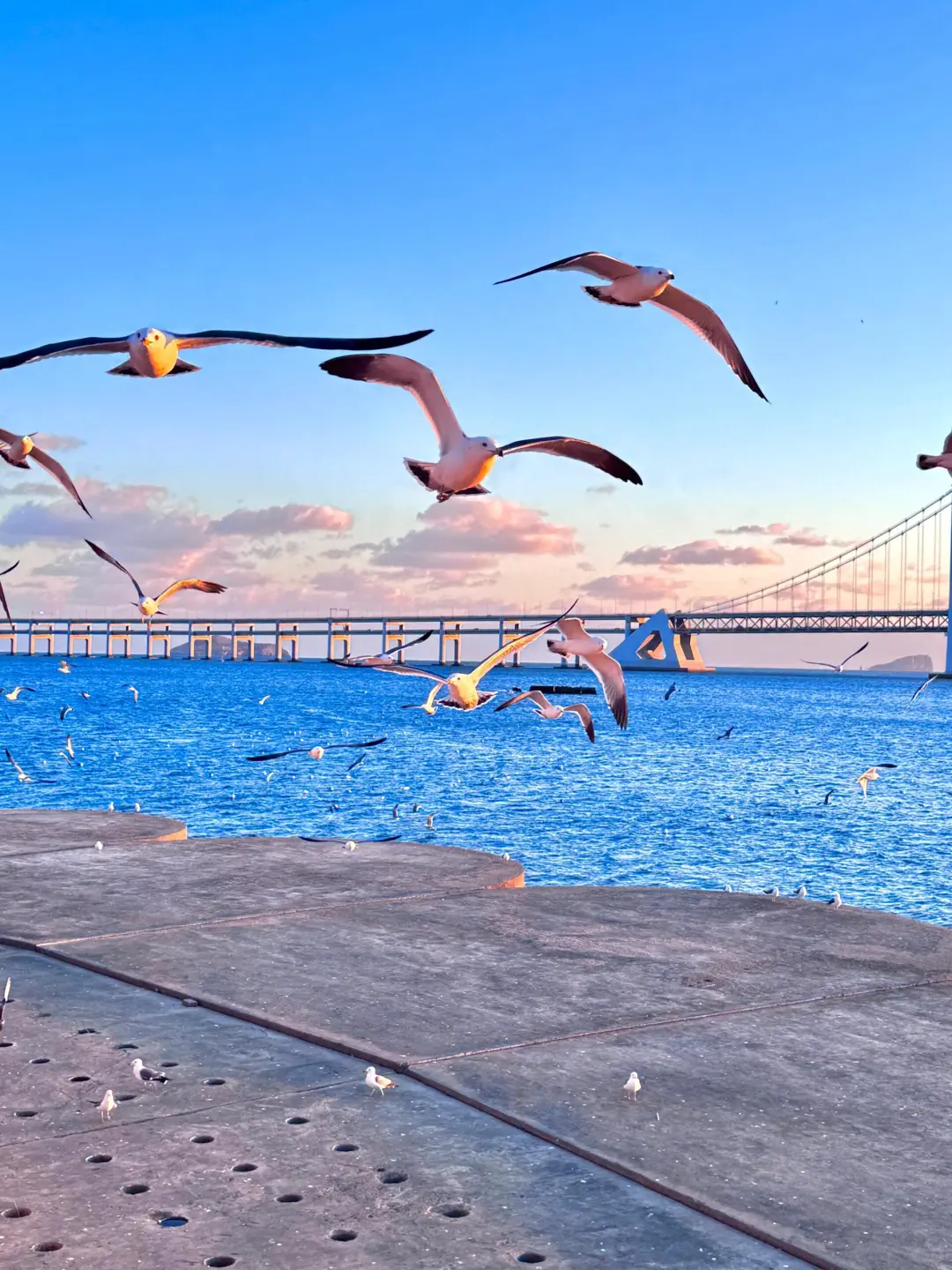刚和闺蜜从大连回来🥶我的建议是……