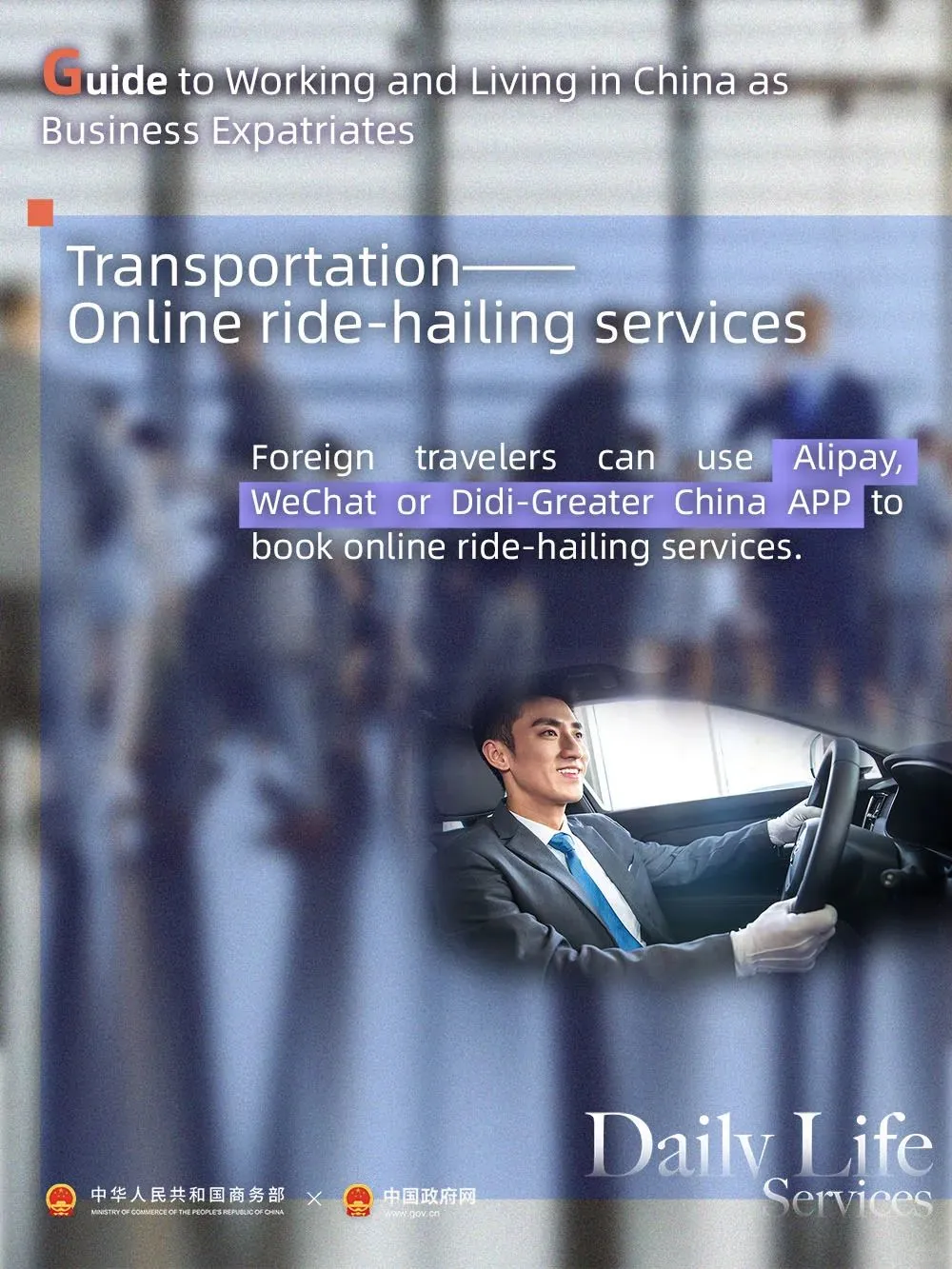 实用转发!给外国朋友的在华生活攻略👍