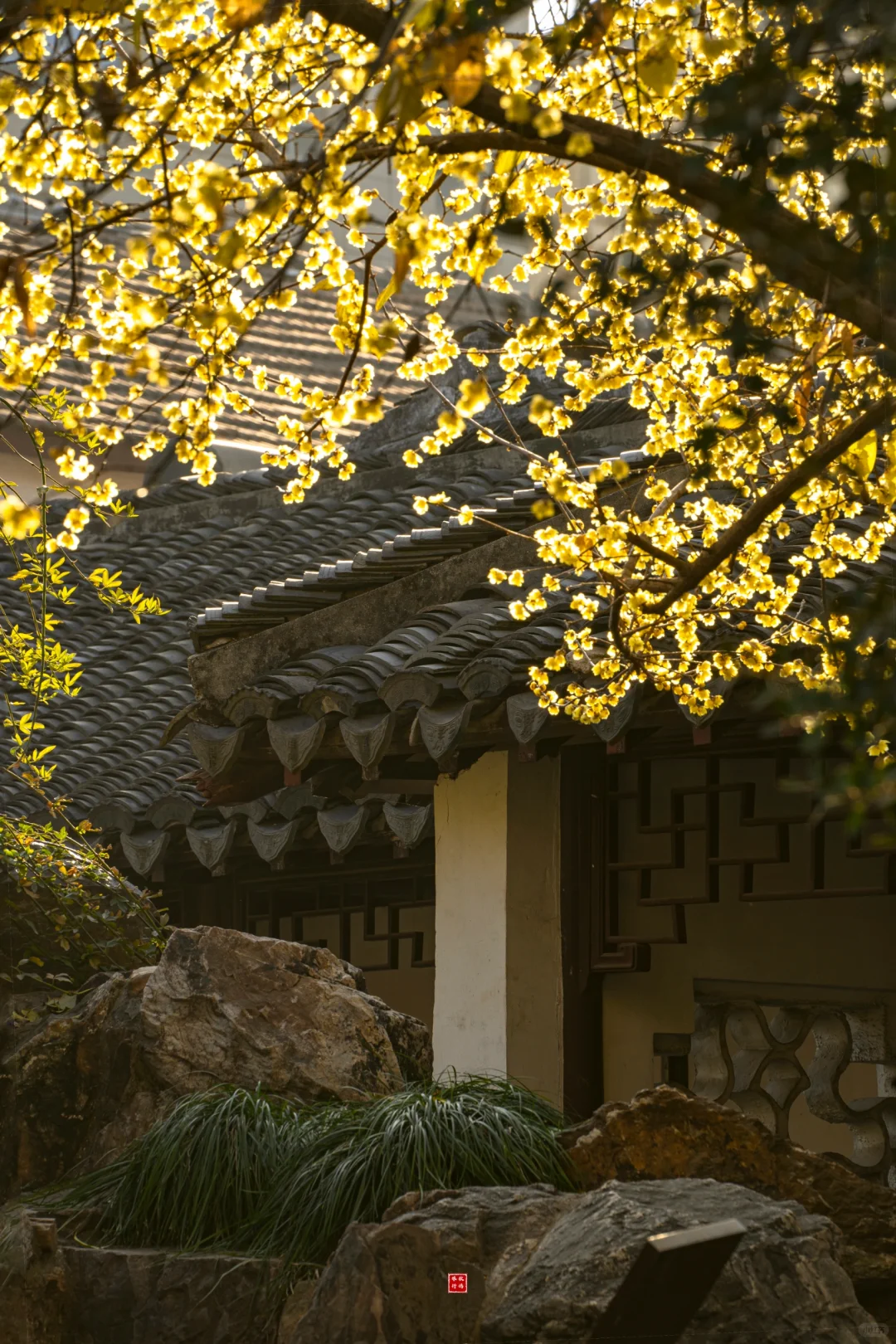 冬季来常熟，本地人推荐这8个小众景点！