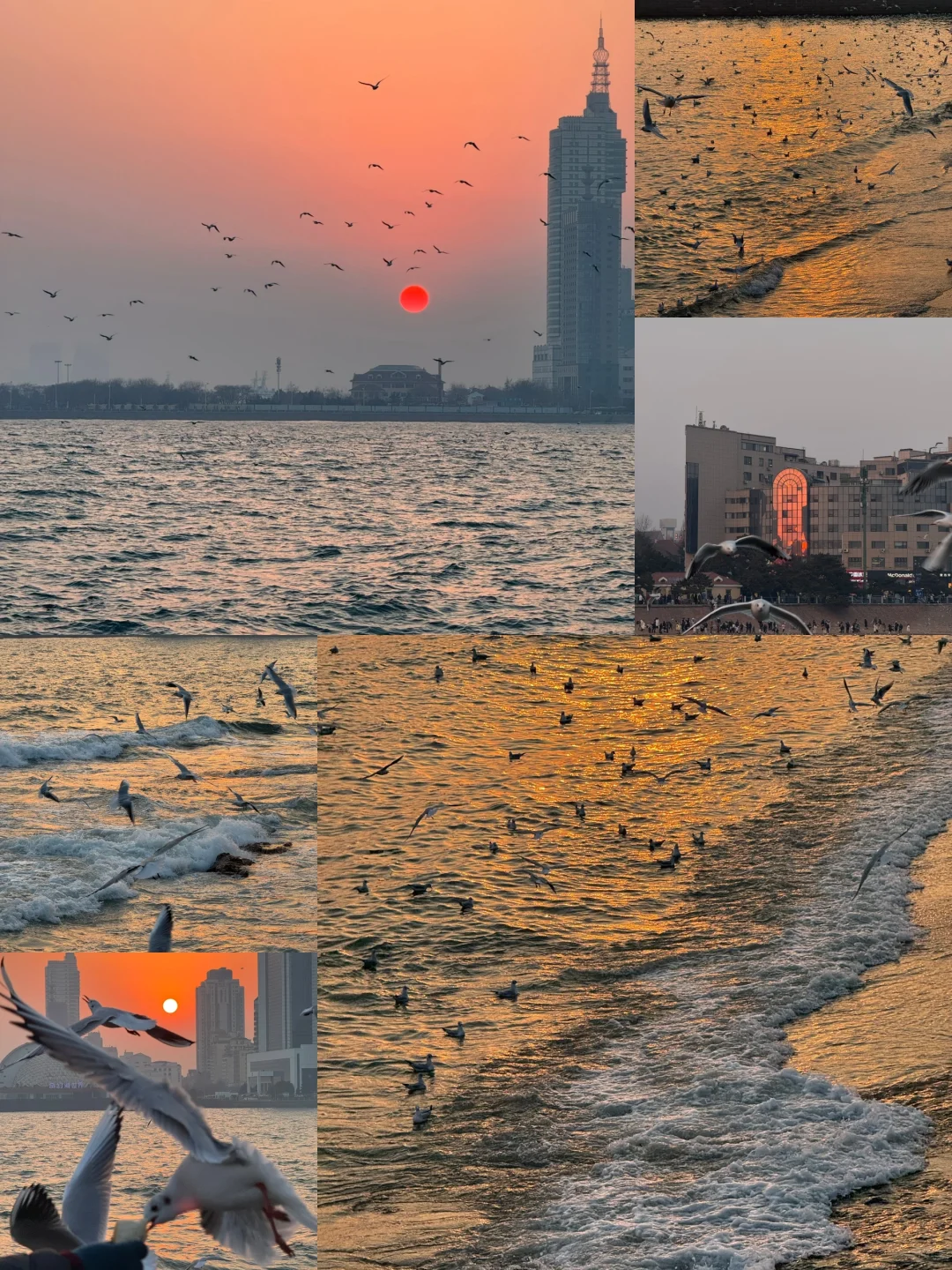 超绝P人青岛4天3晚旅游攻略（1.13)