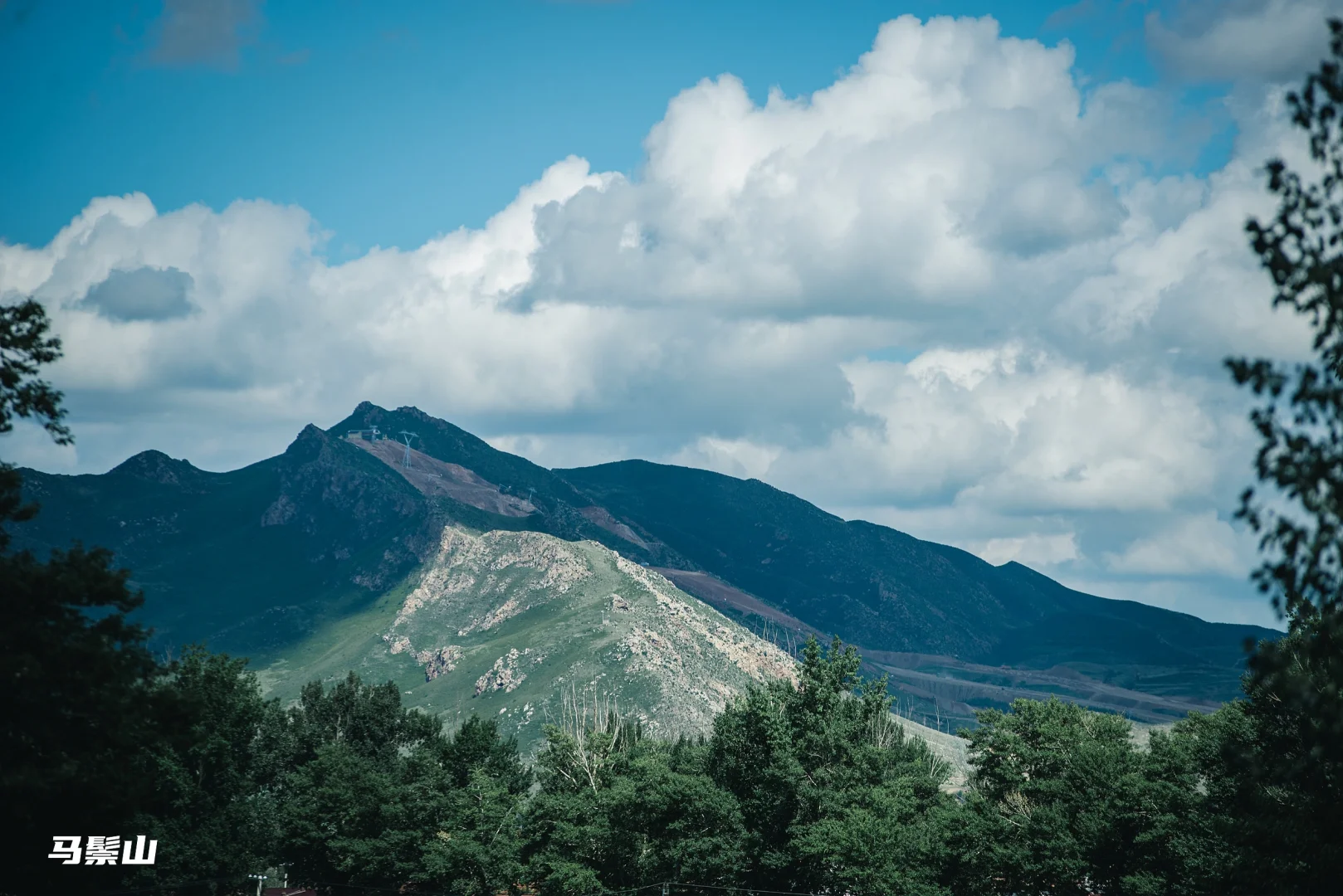 看了再见爱人4 想立刻飞去内蒙古 攻略有✅