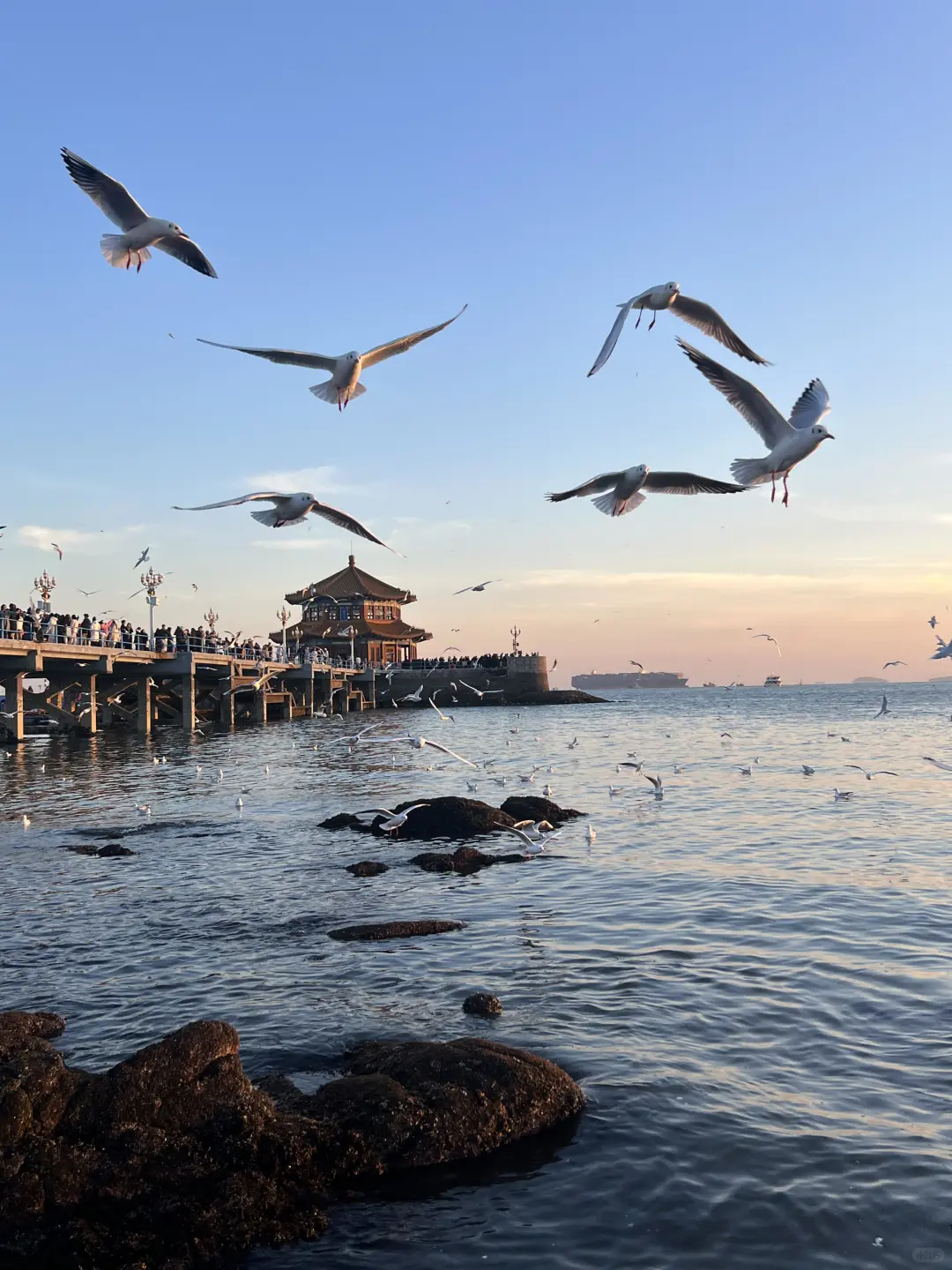 真心提醒寒假～2月去青岛的姐妹👭，听劝