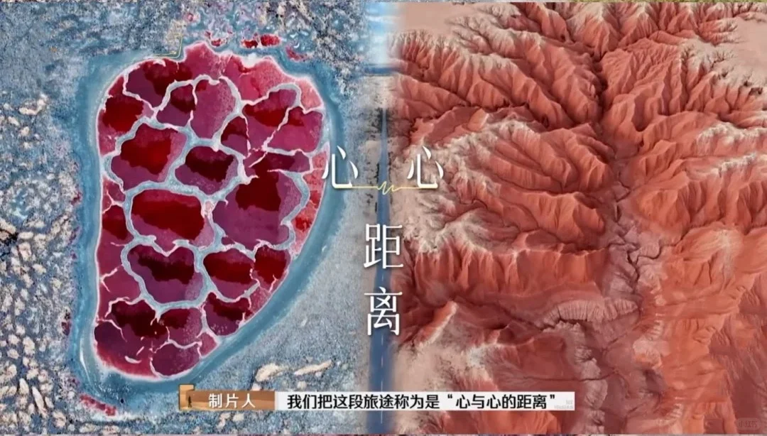 看了再见爱人4 想立刻飞去内蒙古 攻略有✅