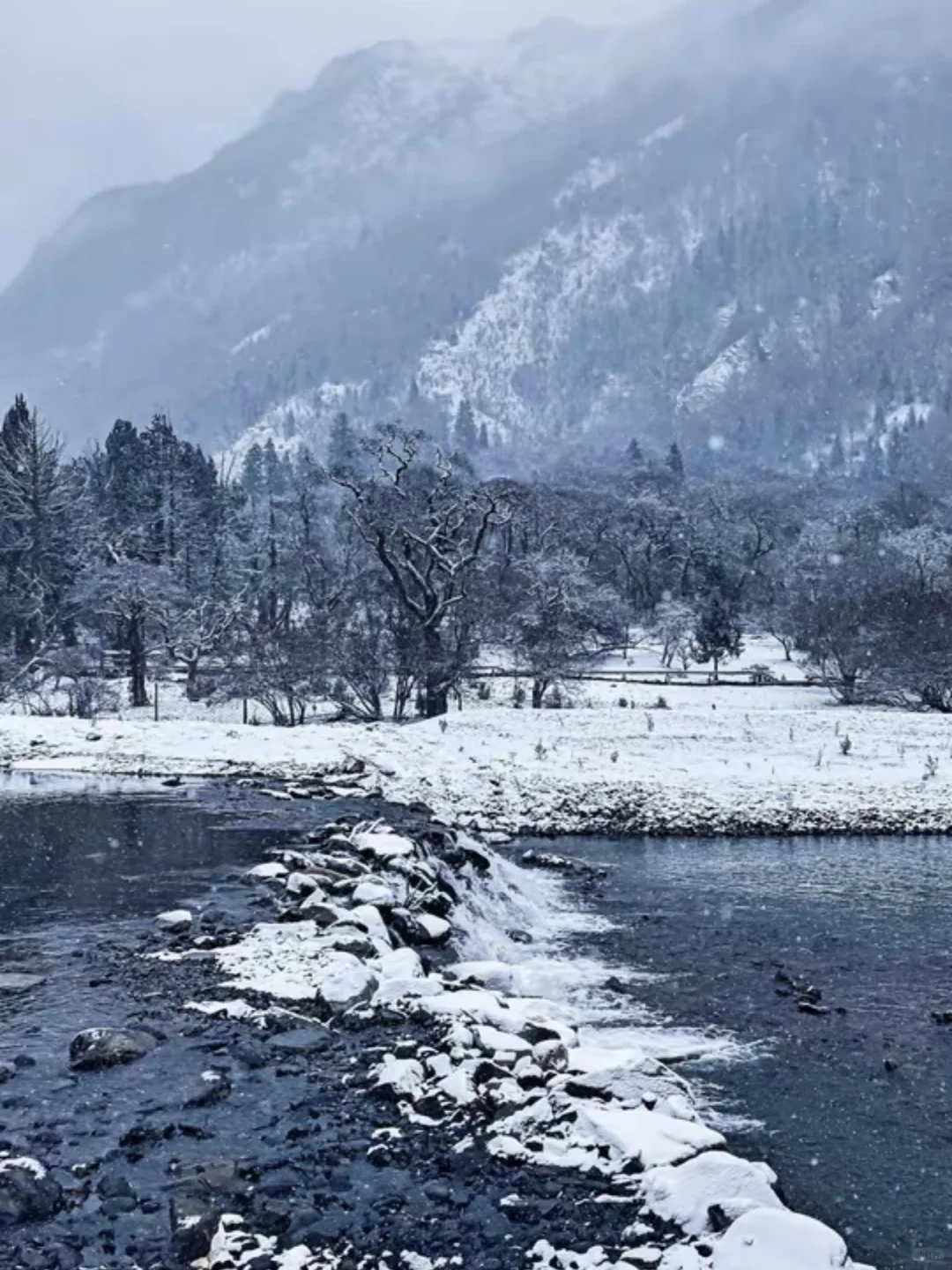 春节不回家，一个人去旅行也很快乐😁