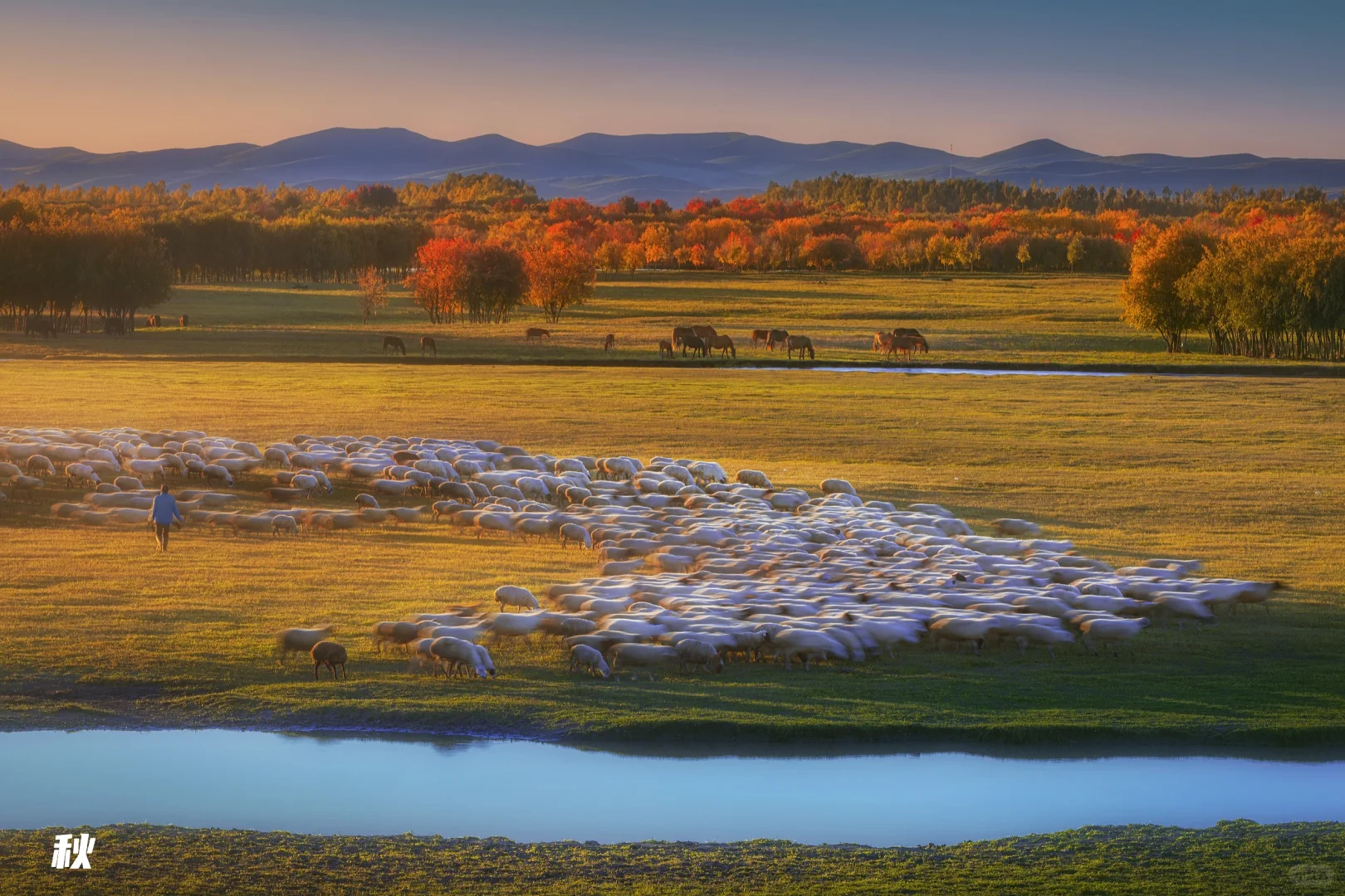 看了再见爱人4 想立刻飞去内蒙古 攻略有✅