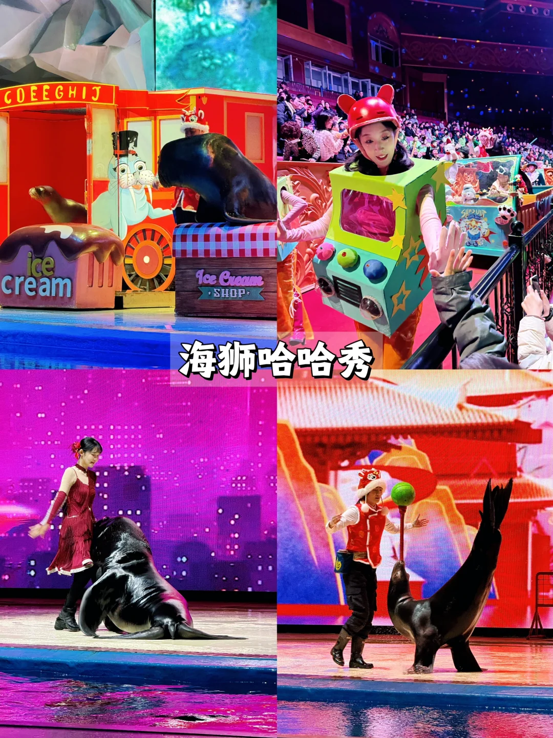 上海海昌海洋公园一日游旅游攻略(超详细!)