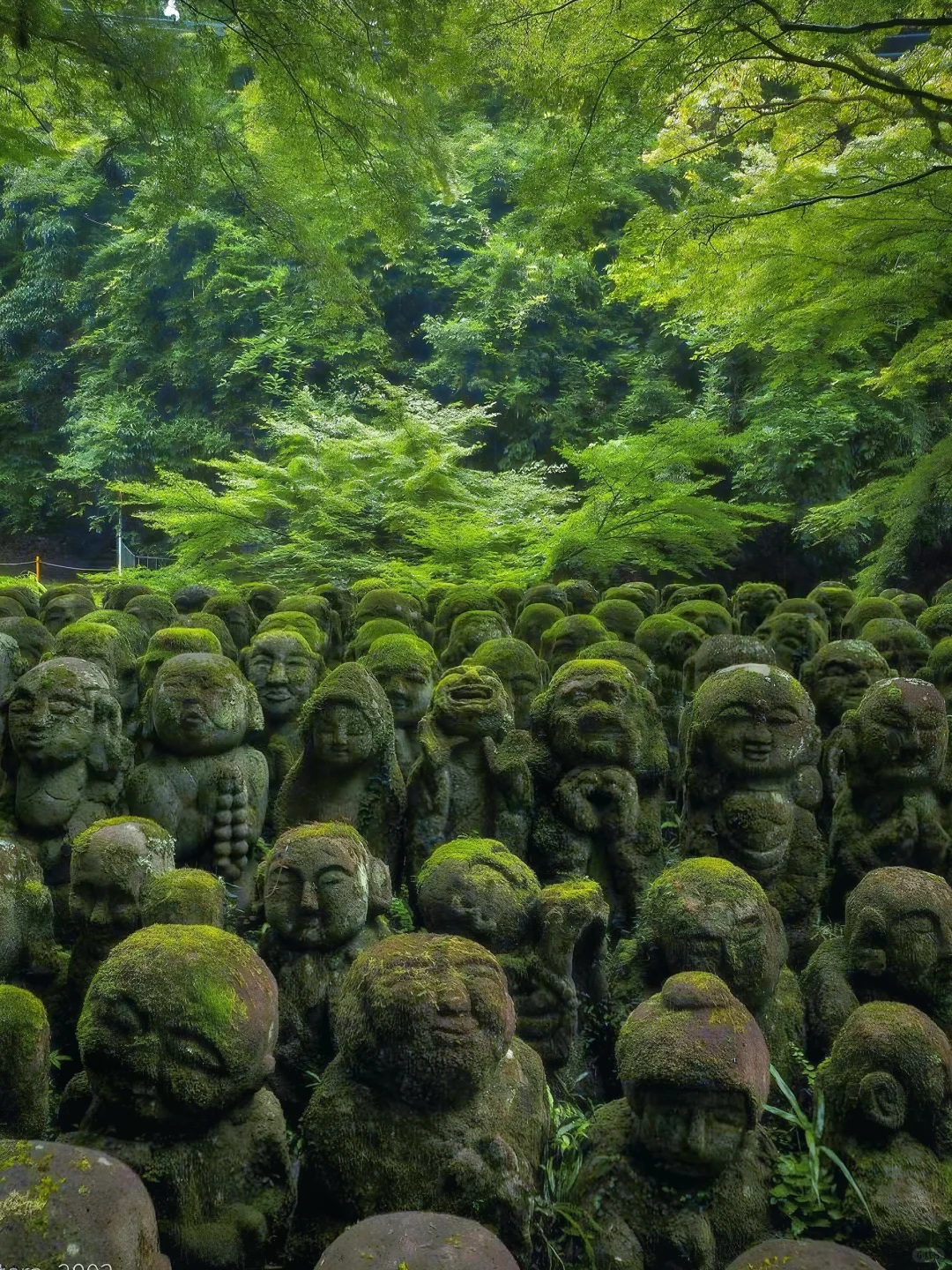 日本｜第三次来京都｜我的7️⃣个小众景点分享