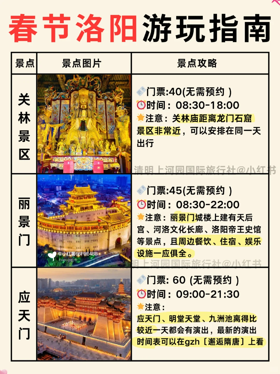 寒假春节要带娃来洛阳的姐妹🔥提前参考❗