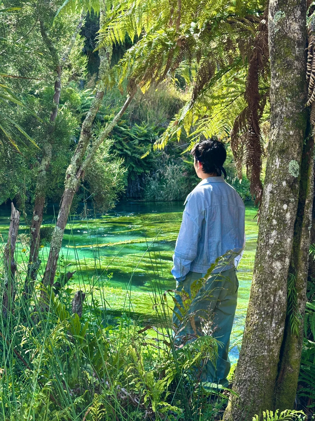 我仿佛闯入《阿凡达》的潘多拉星球🌏live～