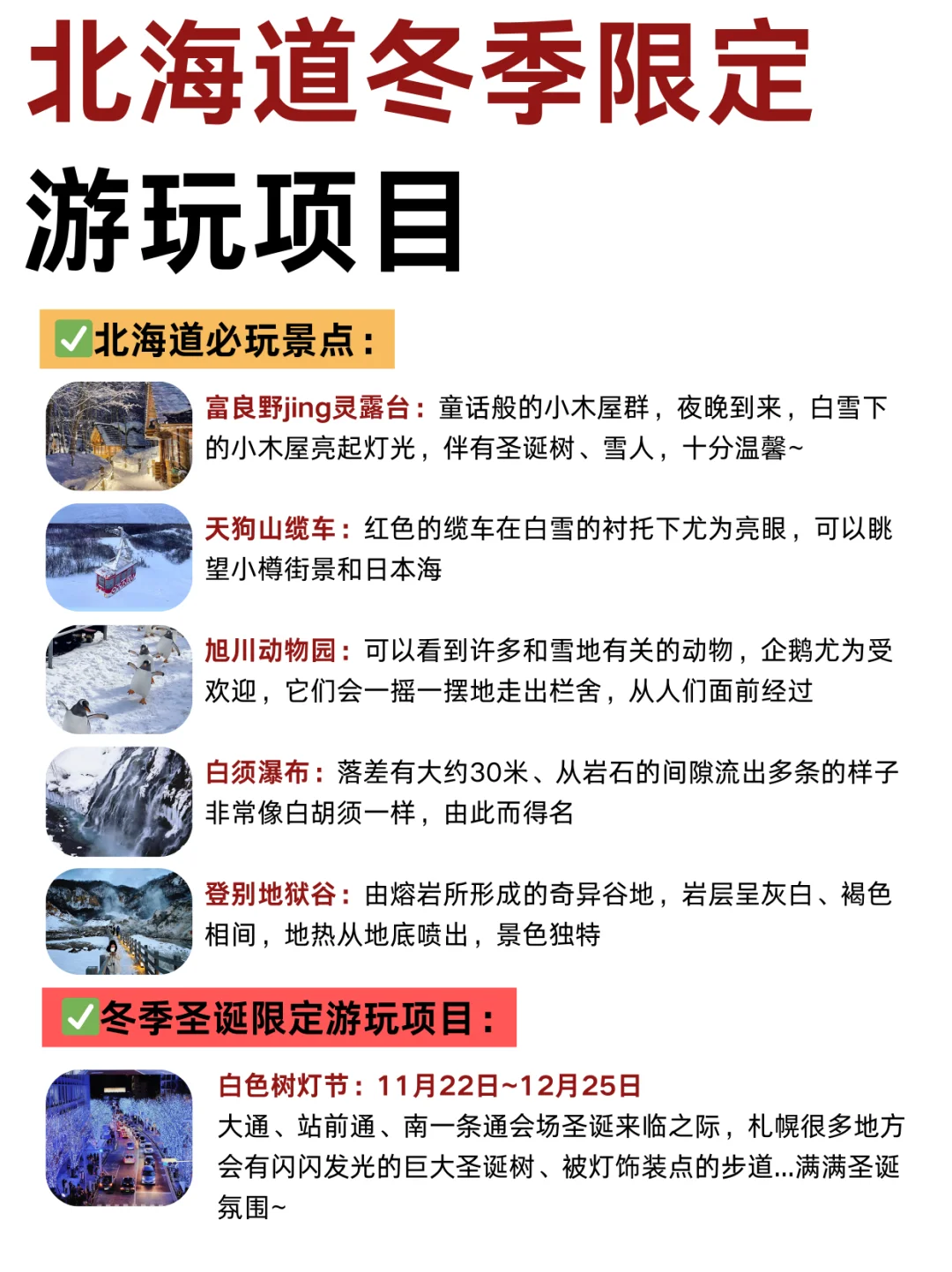 北海道冬季❄️限定旅游攻略｜来抄作业❗️