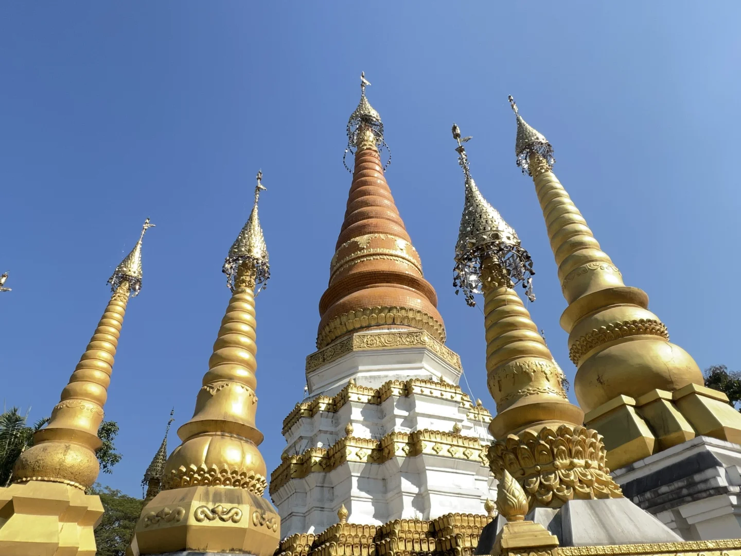 云南·瑞丽·傣王宫总佛寺·姐勒金塔·榕树王