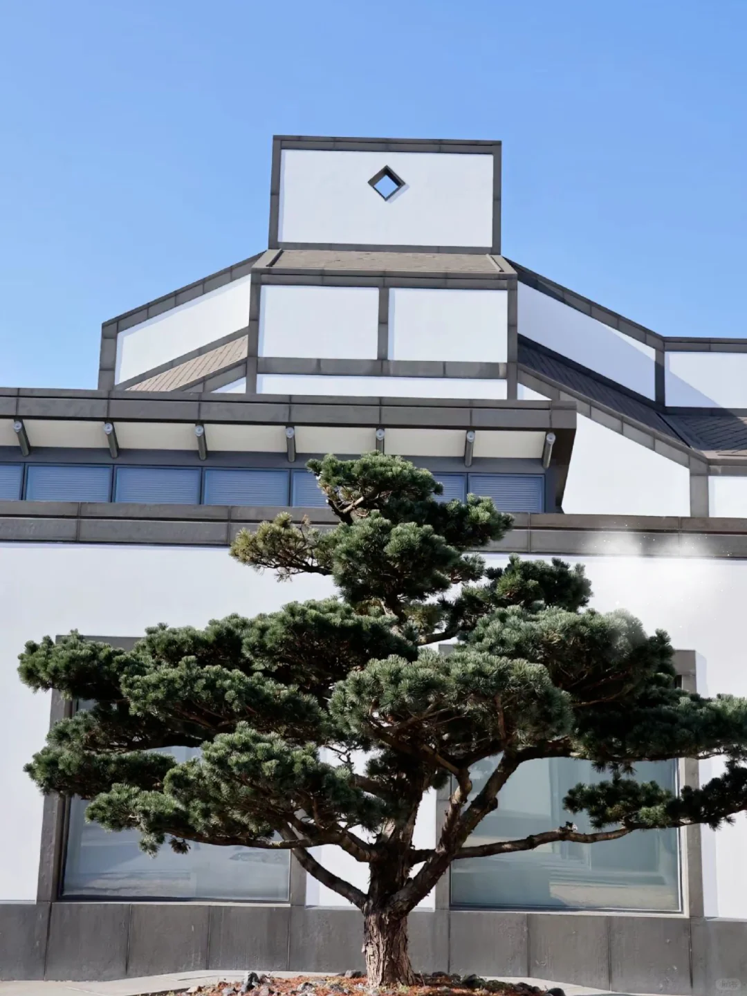 送给准备来苏州的姐妹们，必打卡6景点