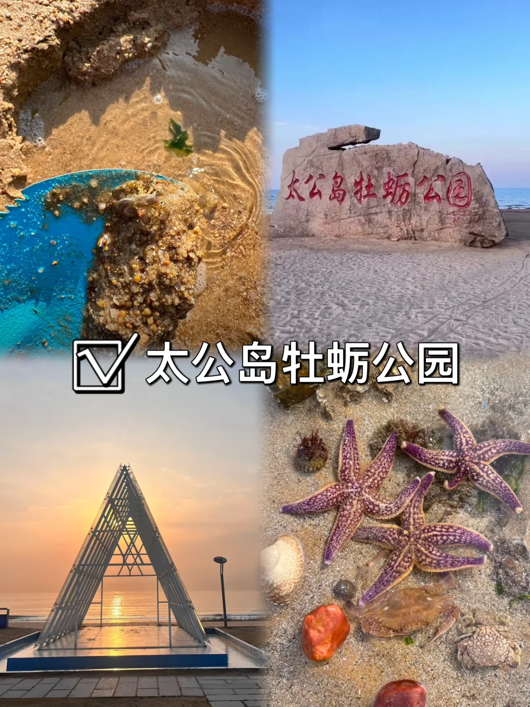 03女大📍日照/两天一夜精华版旅游攻略❗️