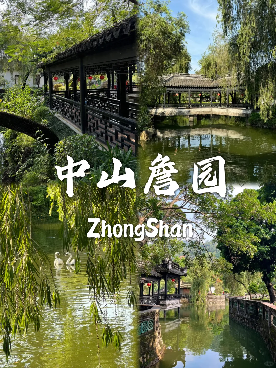 中山必打卡的九个景点，等你来探索❗❗