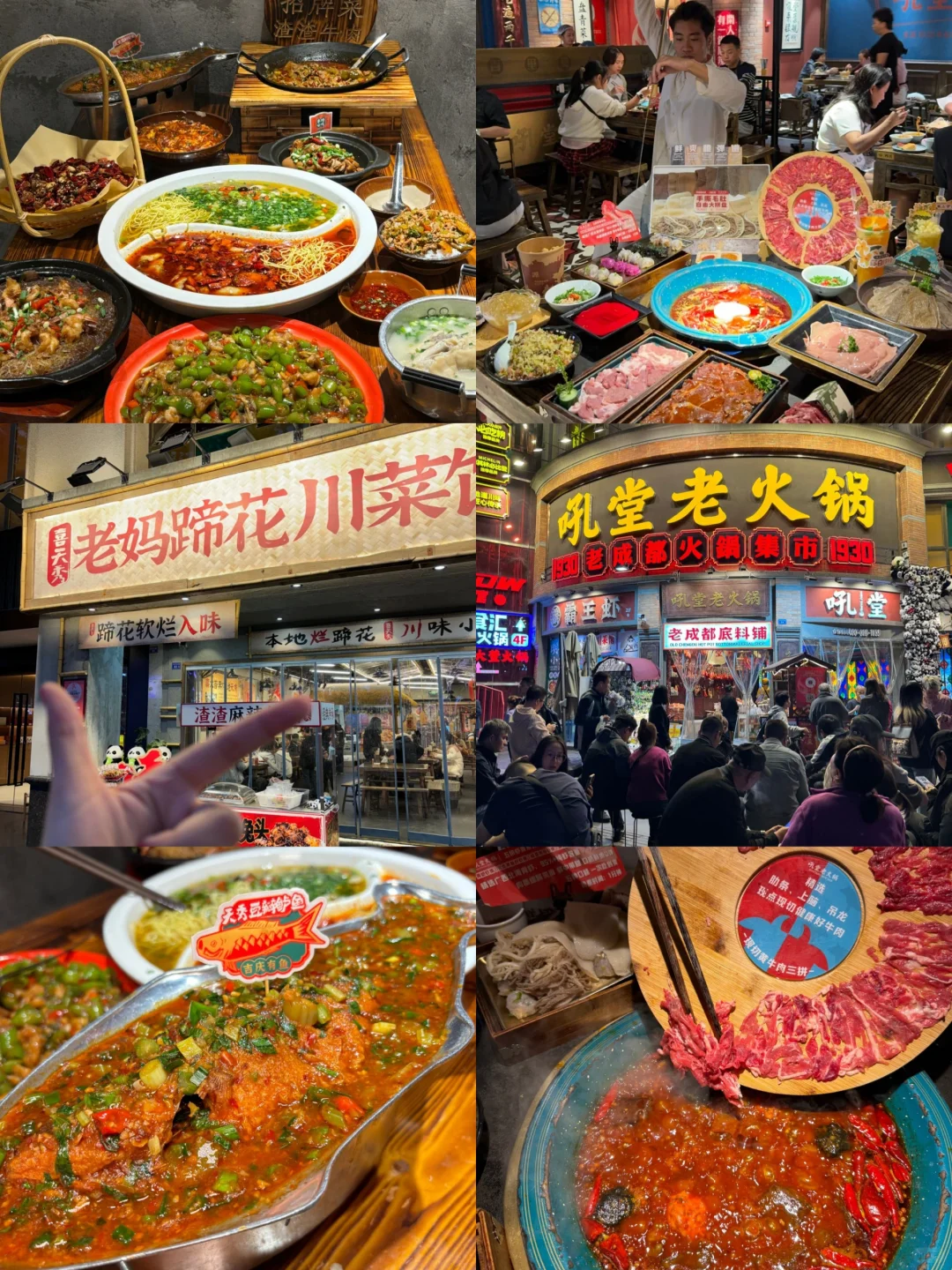 写给1-2月去成都的姐妹👭超全避雷攻略🧾