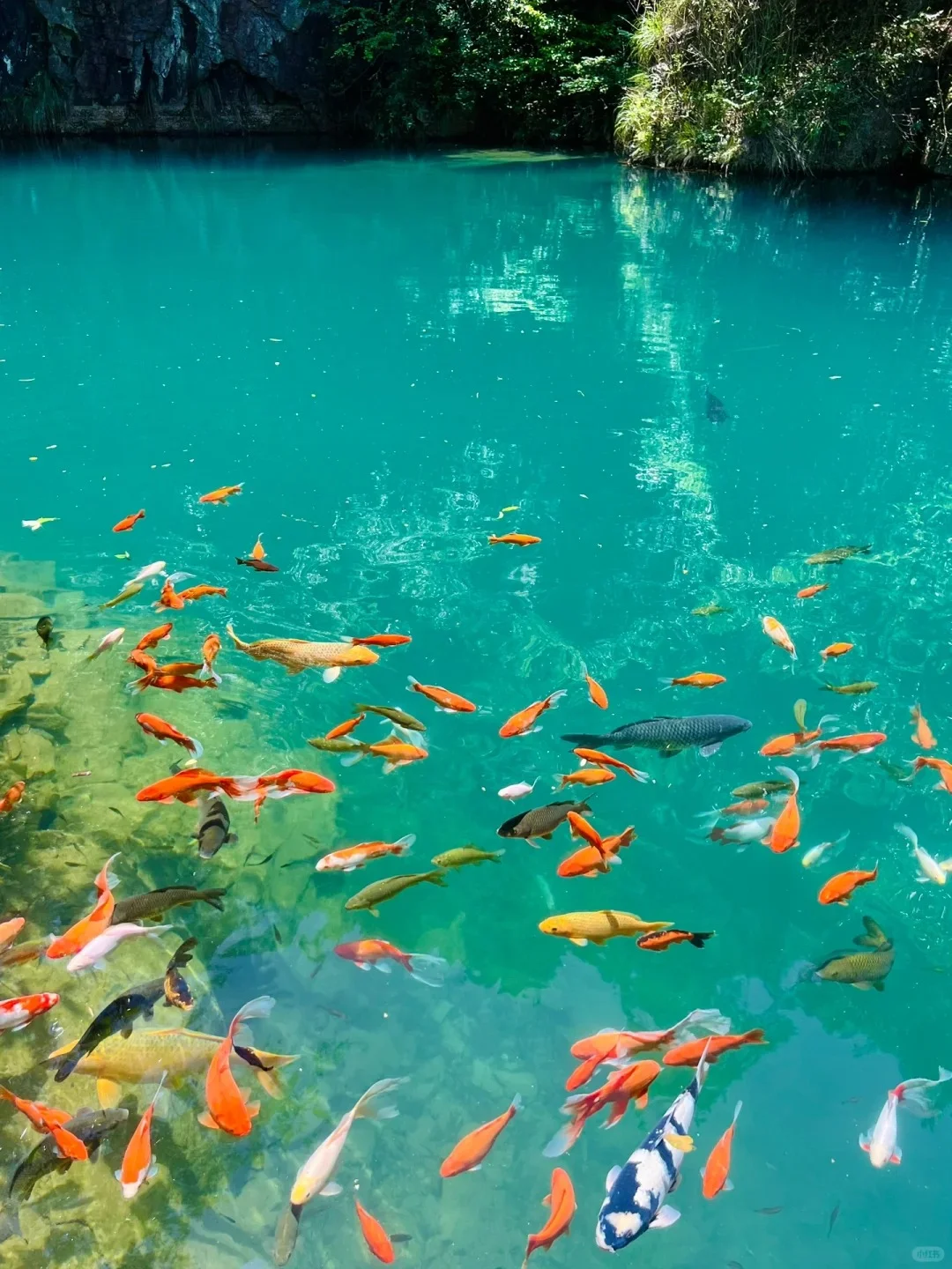 @韩国欧尼欧巴,看看我们大浙江吧‼️