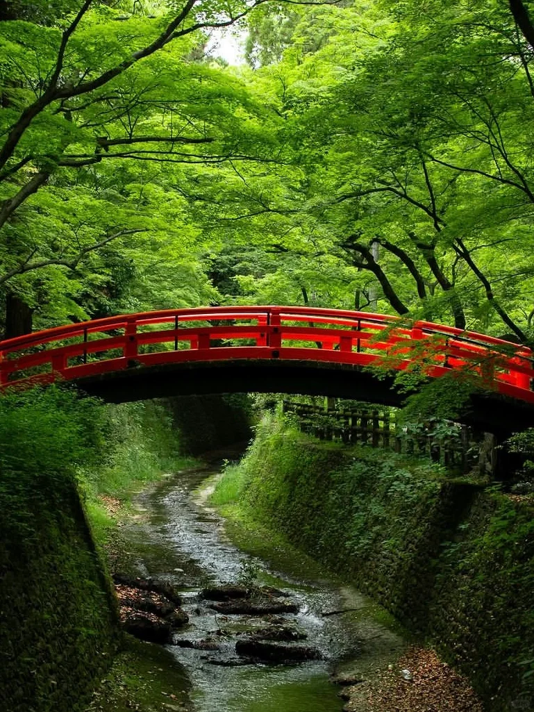 日本｜第三次来京都｜我的7️⃣个小众景点分享