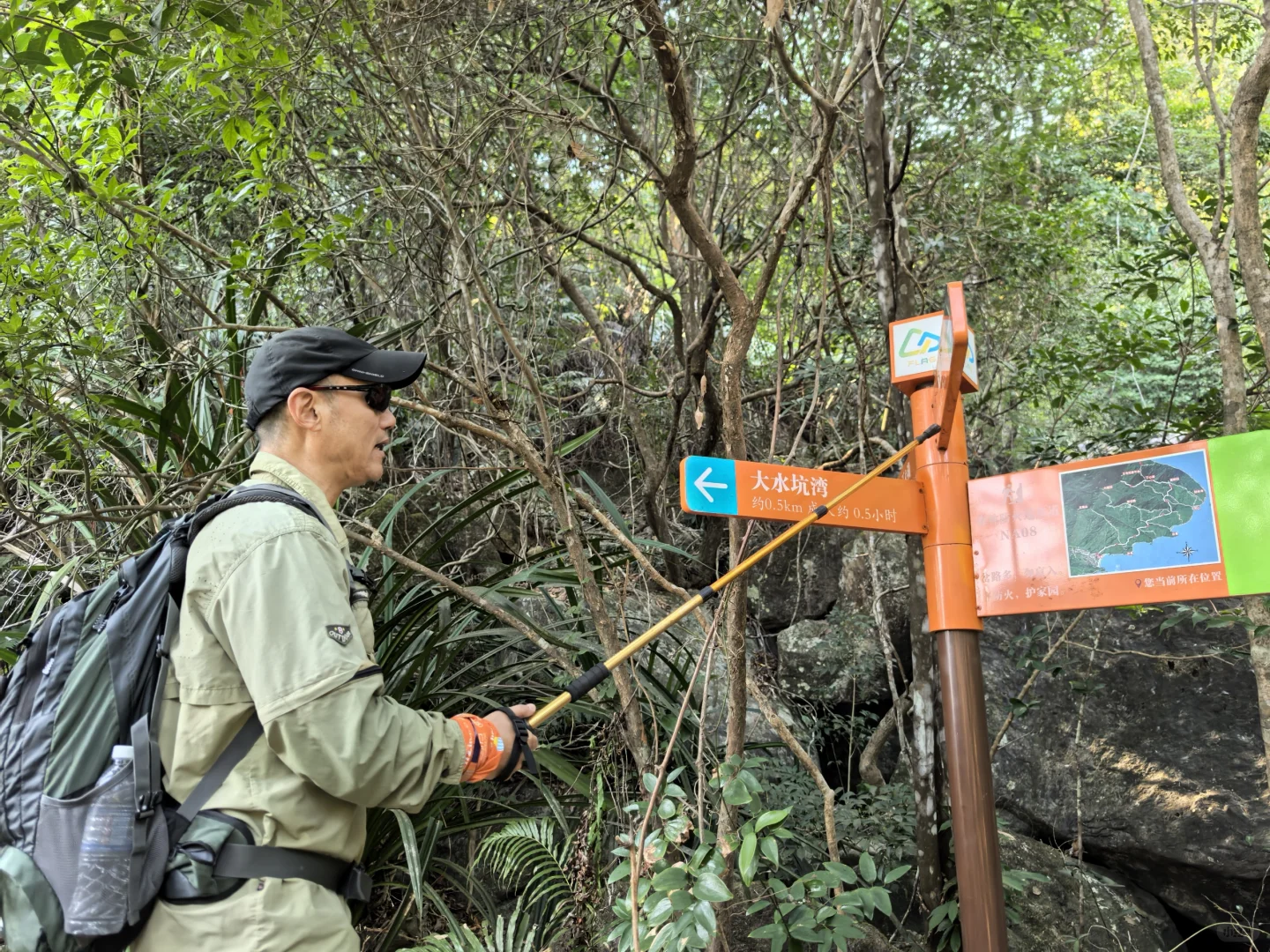 这就是望郎归。