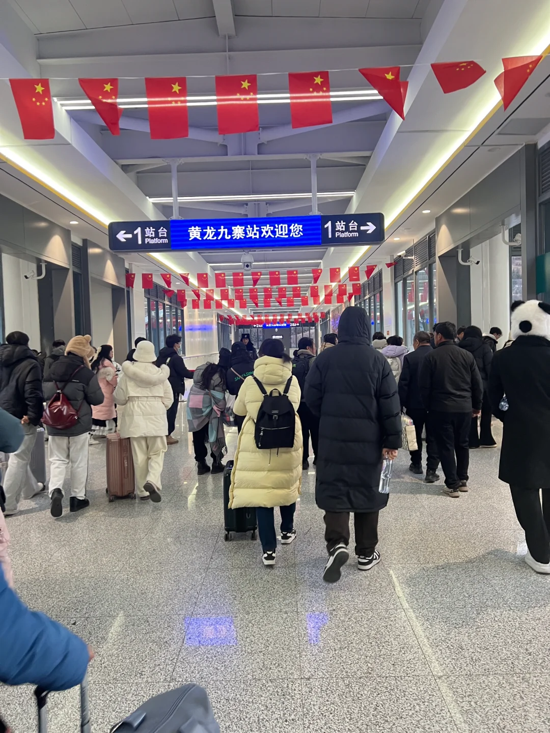 1月现状📍谁说这是淡季😱春节要来的宝听劝！