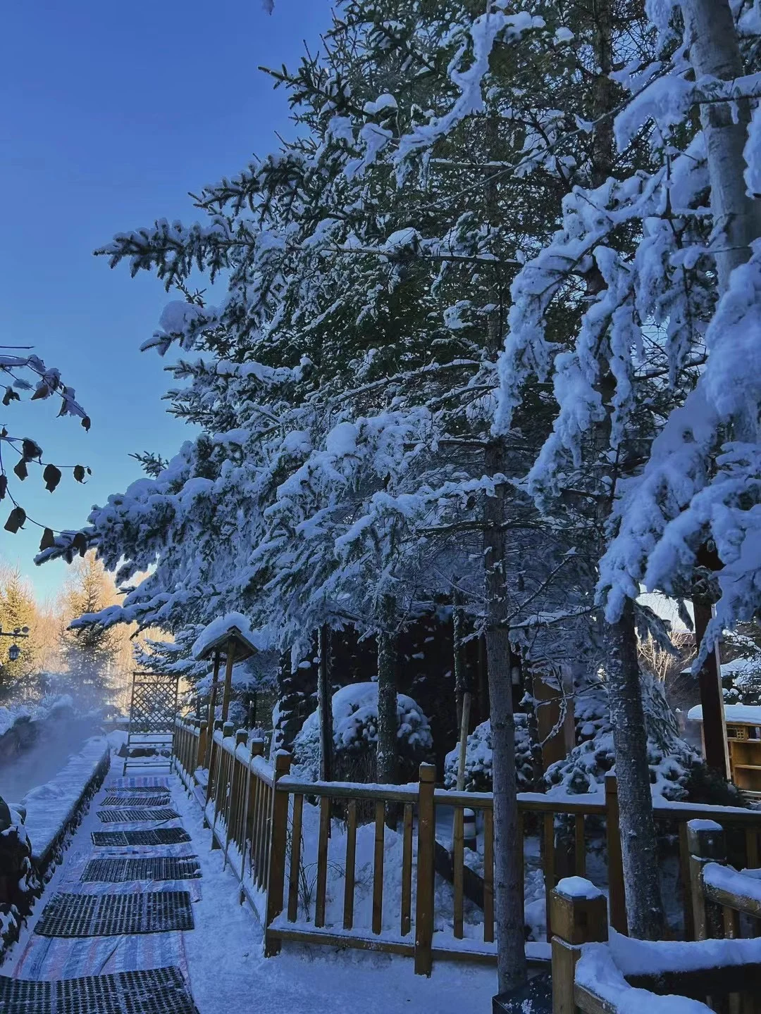 不是瑞士去不起 而是长白山更性价比