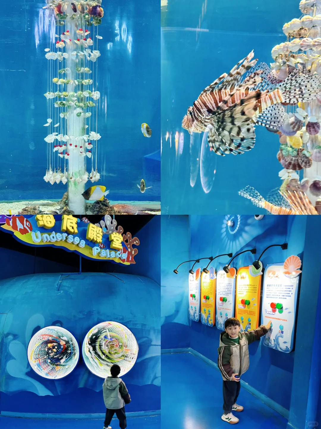 上海海昌海洋公园一日游旅游攻略(超详细!)