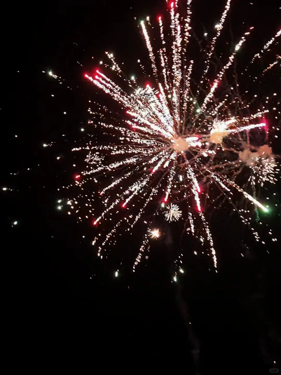 春节反向旅游攻略来了！到深圳大鹏真的很香