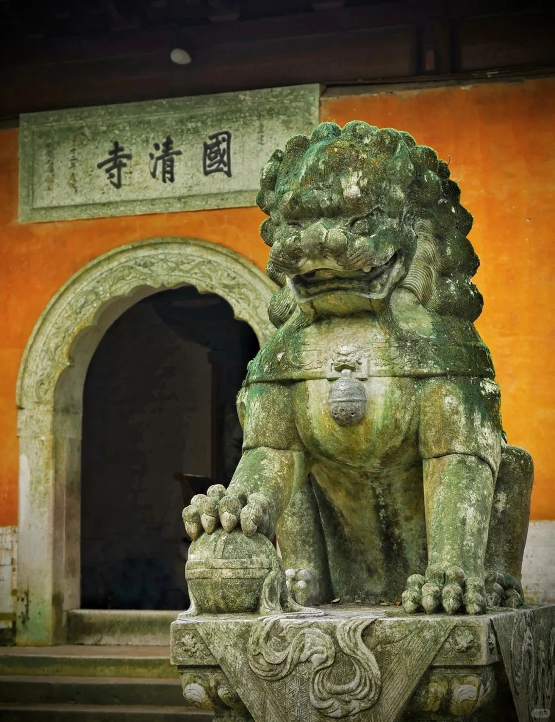 @韩国欧尼欧巴,看看我们大浙江吧‼️