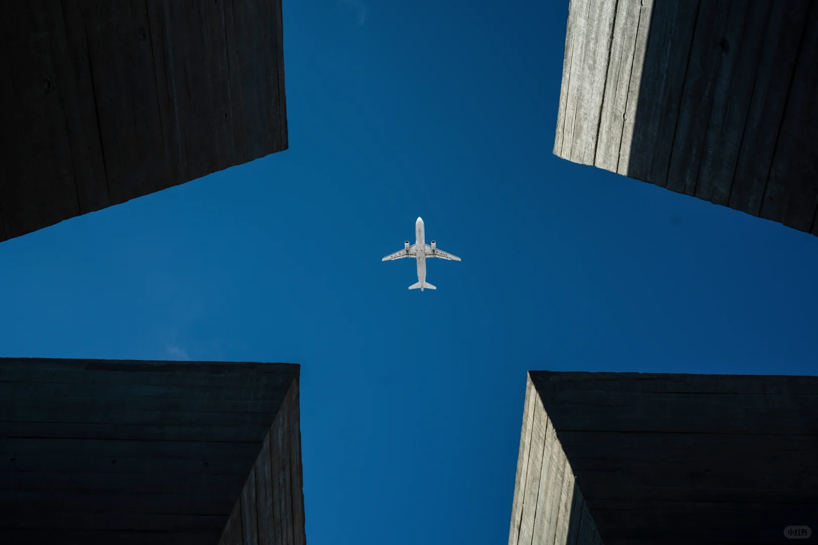 威海很好，就是冻人！！！